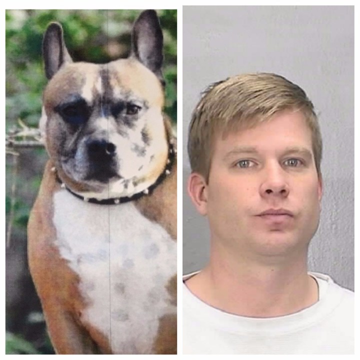 DangerousDogOwner_614491