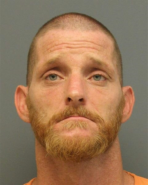 Michael Beale mugshot