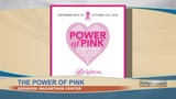Retail_Therapy__The_Power_of_Pink_0_57683625_ver1.0_160_90_1538495973232.jpg