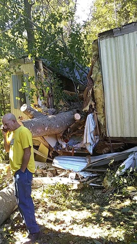 York Tree through mobile home_1539633995369.jpg.jpg