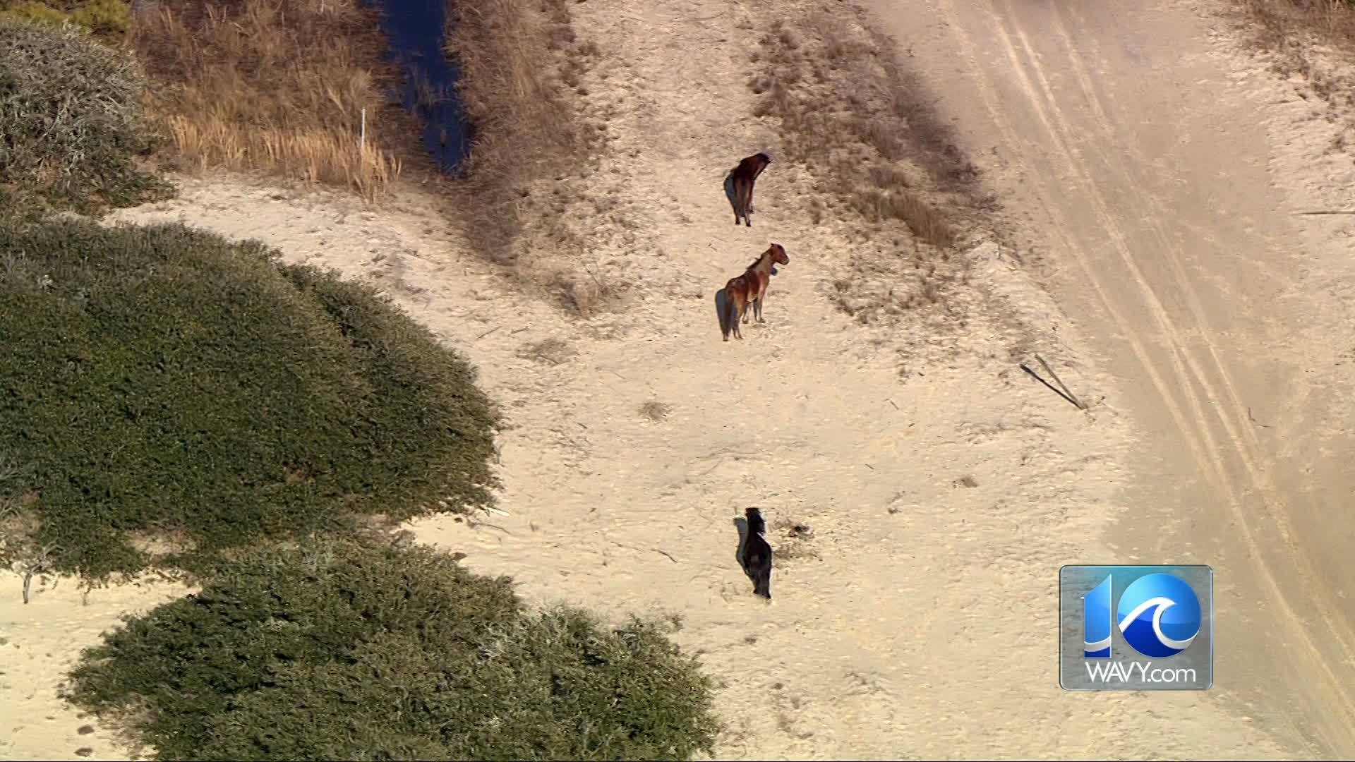 Chopper 10: Hampton Roads the week of February 8, 2019