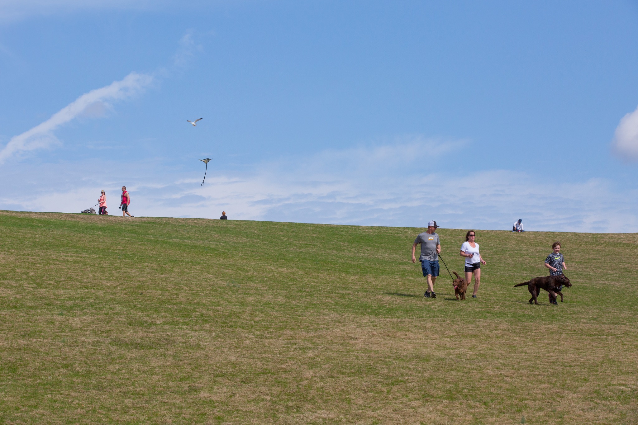 Mount Trashmore Park VB Parks and Rec_1524164263453.jpg.jpg