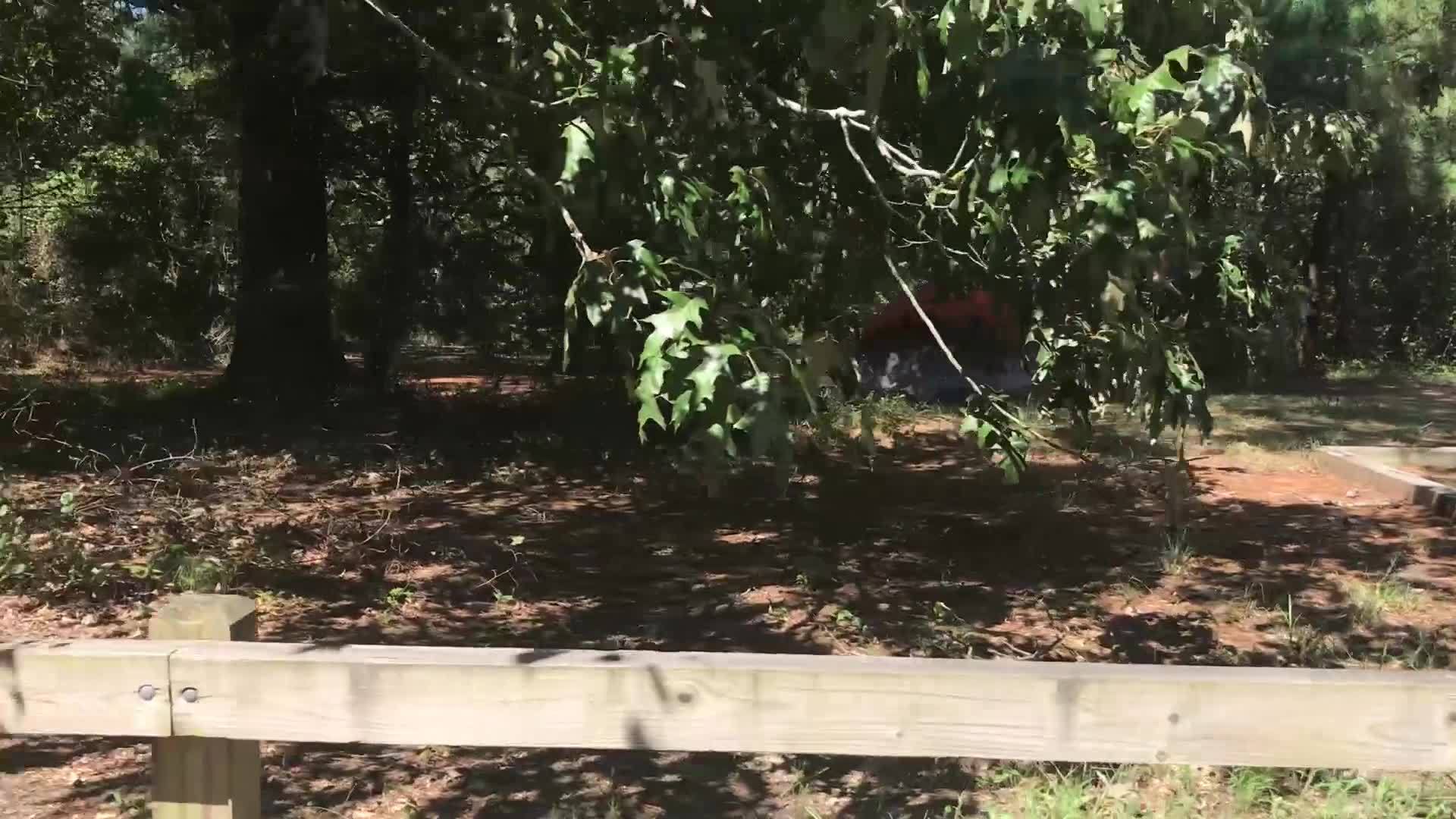 Discovering_Hampton_Roads__First_Landing_0_20180921160136