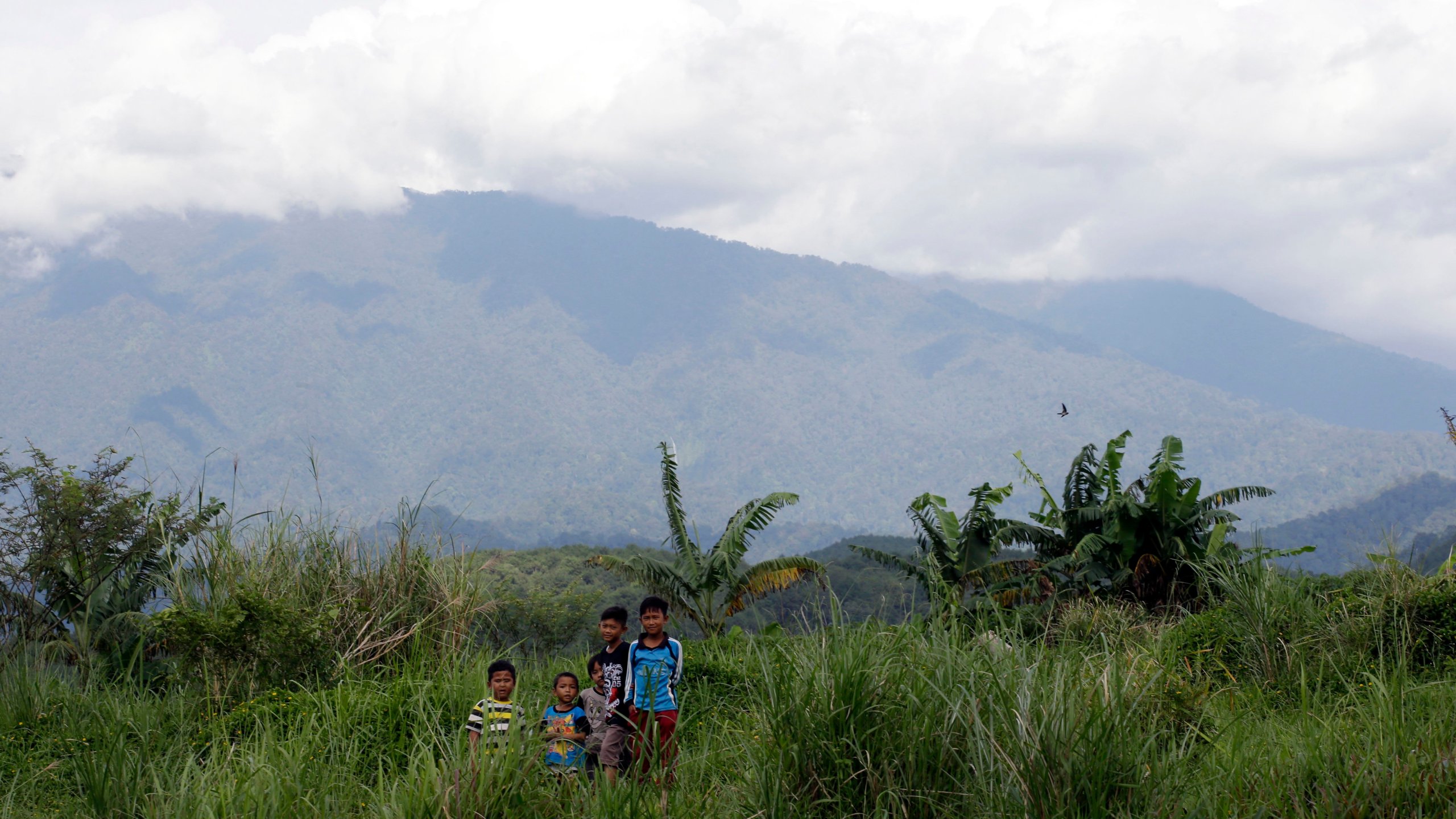 FILE - Children stand on a field at the planned development site of a tourism project affiliated with U.S. President Donald Trump, near Gunung Gede Pangrango National Park in Bogor, West java, Indonesia, on March 8, 2017. (AP Photo/Tatan Syuflana, File)
