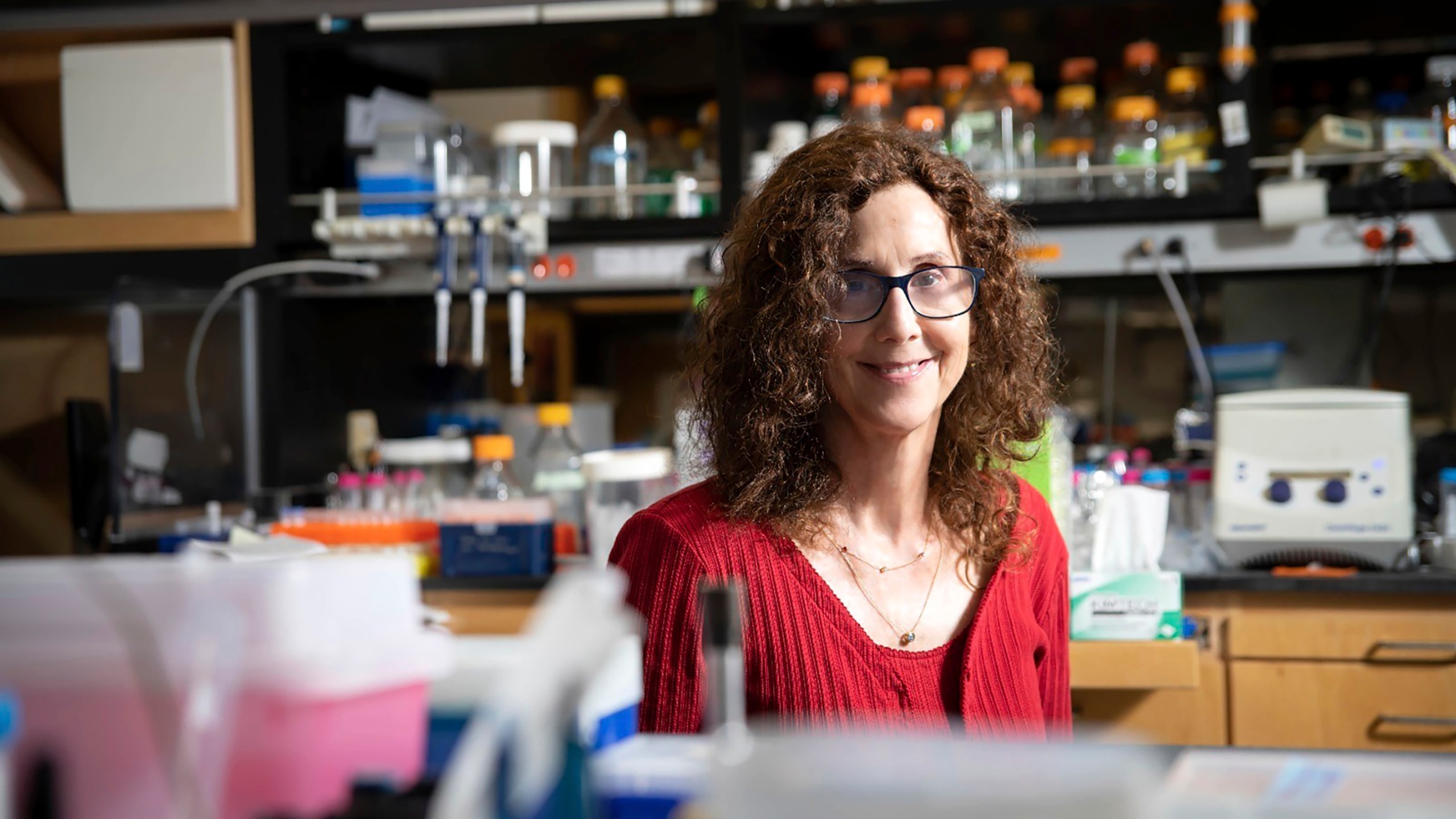 This image provided by the Wolf Foundation shows Pamela Björkman of the California Institute of Technology, who won this year's prestigious Wolf Award for her research into treating coronavirus and HIV. (Wolf Foundation via AP)