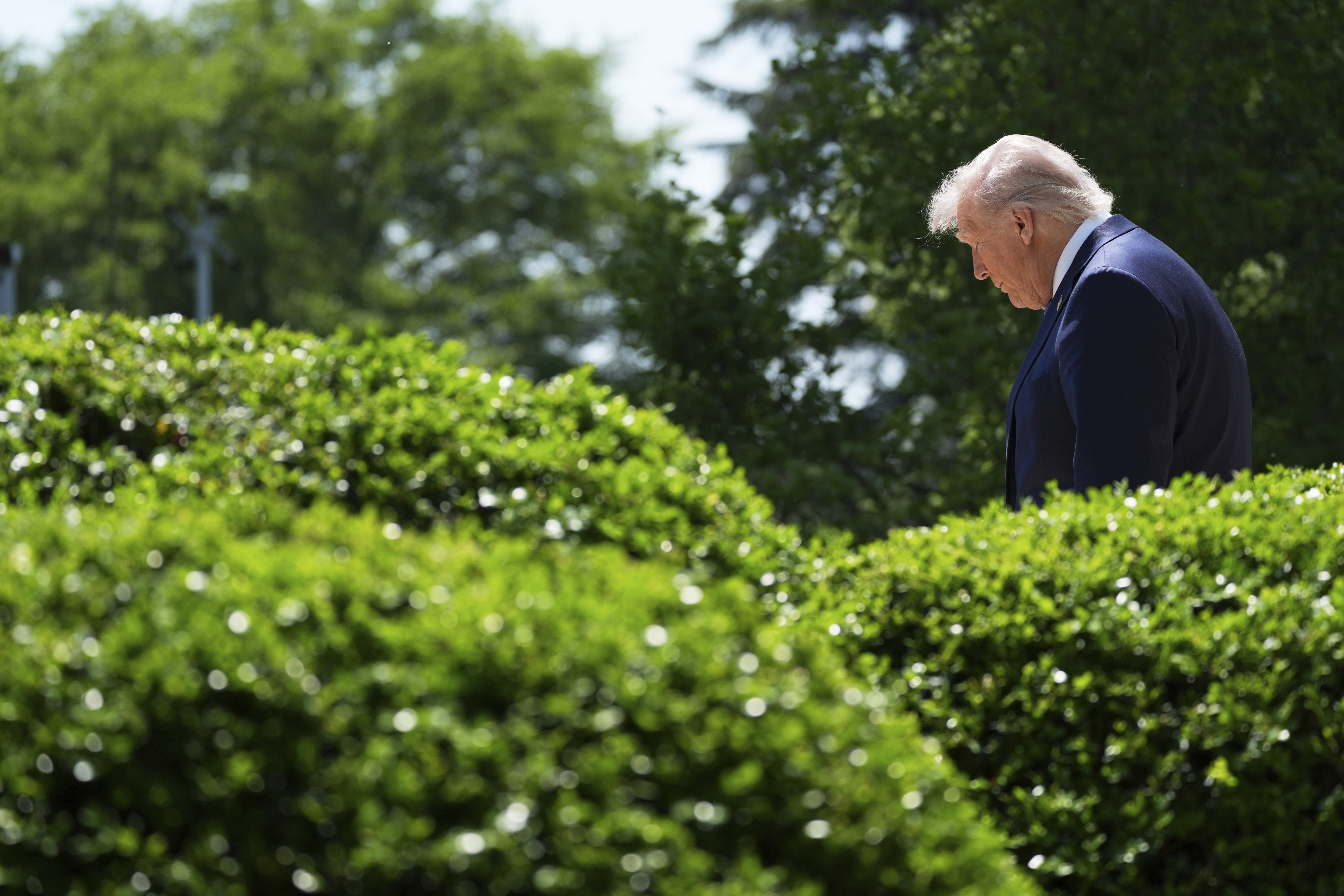 President Donald Trump arrives to speak during a National Day of Prayer event in the Rose Garden of the White House, Thursday, May 1, 2025, in Washington. (AP Photo/Evan Vucci)