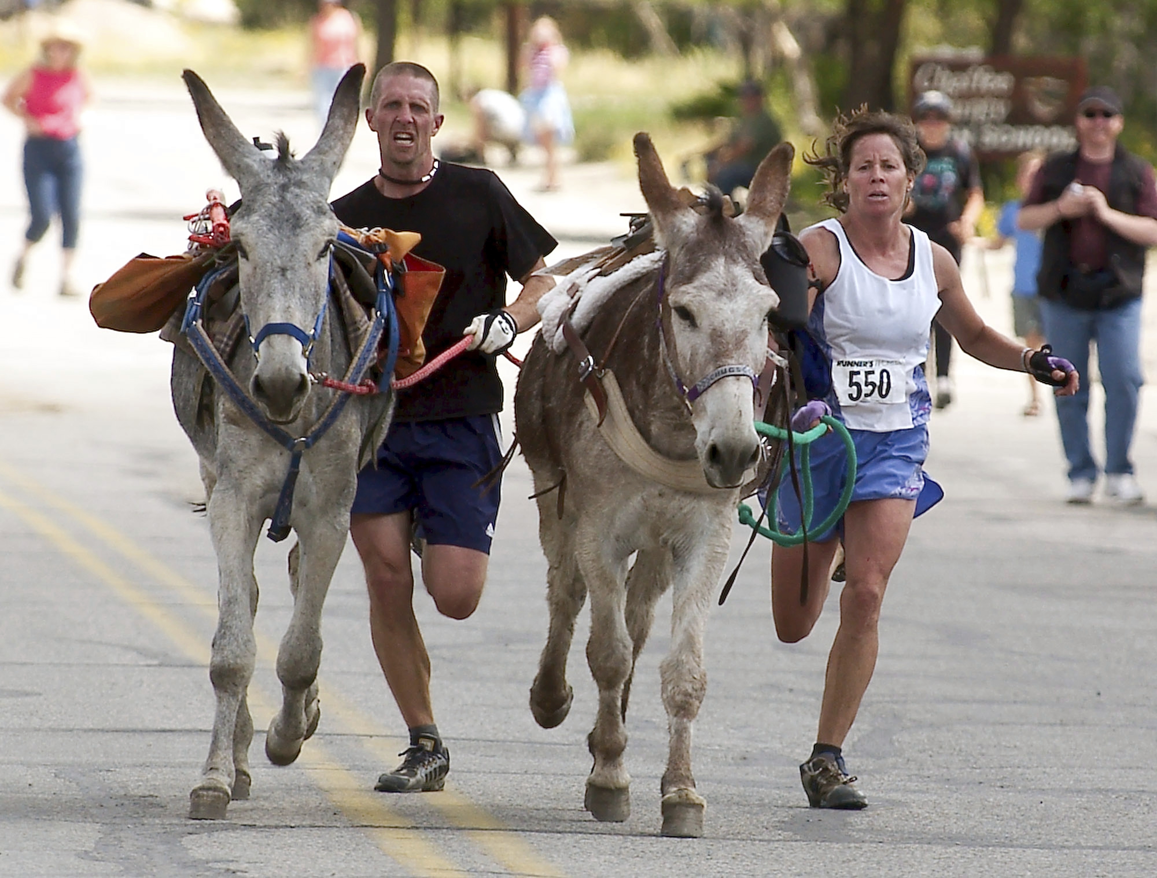FILE - Racers Bobby Lewis, left, and Barb Dolan sprint to the finish line with their burros "Wellstone" and "Chugs" respectively, to tie for 1st place during the Gold Rush Days festival, Aug. 15, 2004, in Buena Vista, Colo. (AP Photo/Ed Kosmicki, File)