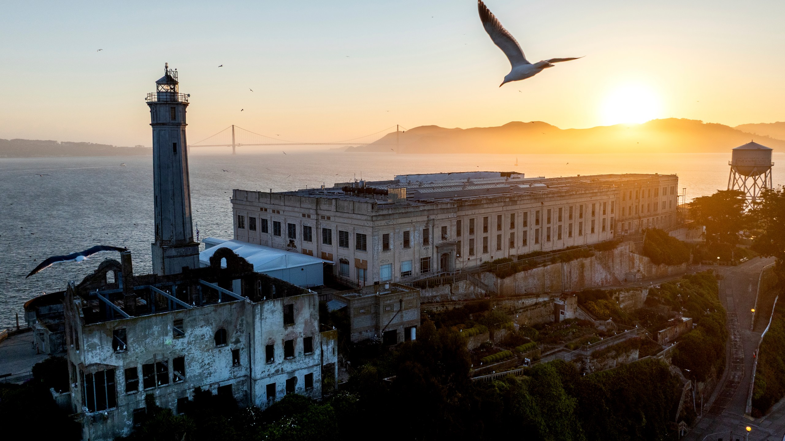 A bird flies above Alcatraz Island on Sunday, May 4, 2025, in the San Francisco Bay, Calif. (AP Photo/Noah Berger)