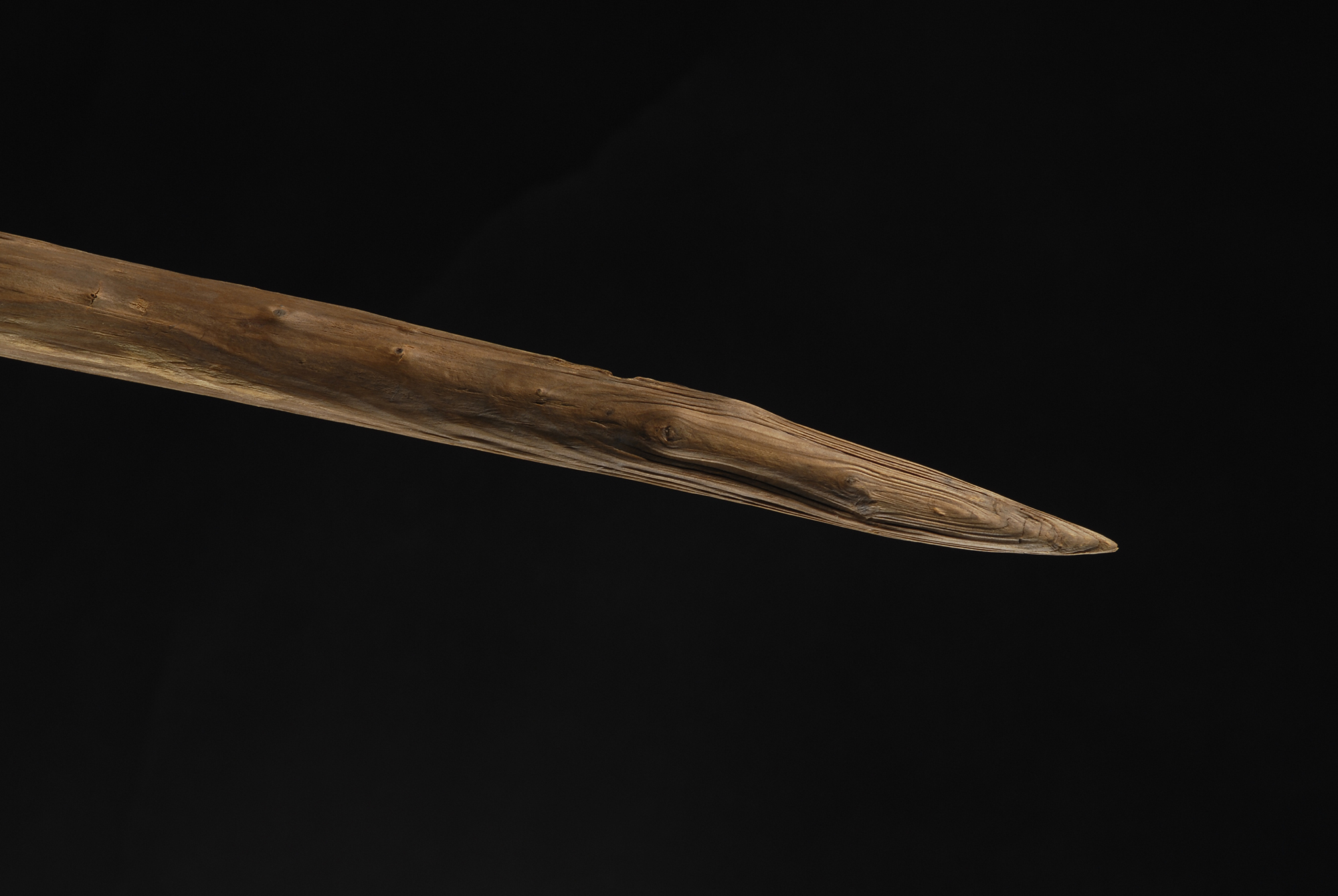 This 2007 photo provided by researchers shows the end of a wooden hunting spear estimated to be about 200,000 years old discovered in a coal mine in the German town of Schöningen. (C. S. Fuchs/Niedersächsisches Landesamt für Denkmalpflege via AP)