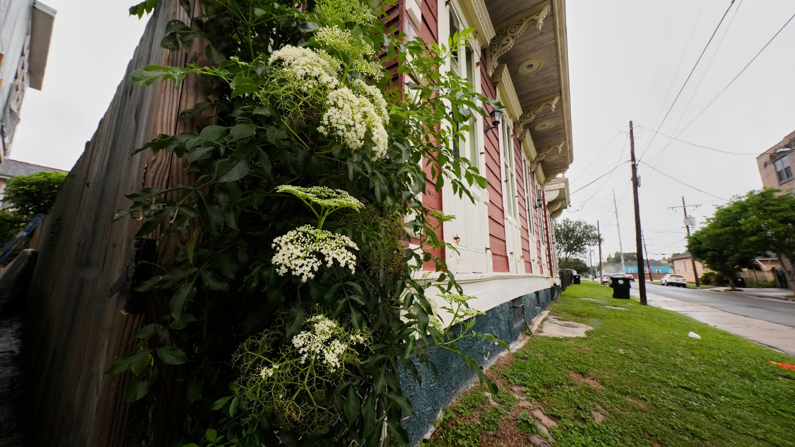 A neighborhood is seen in the 7th Ward, Friday, May 9, 2025 in New Orleans, which is the community where the grandparents of Pope Leo XIV lived. (AP Photo/Gerald Herbert)