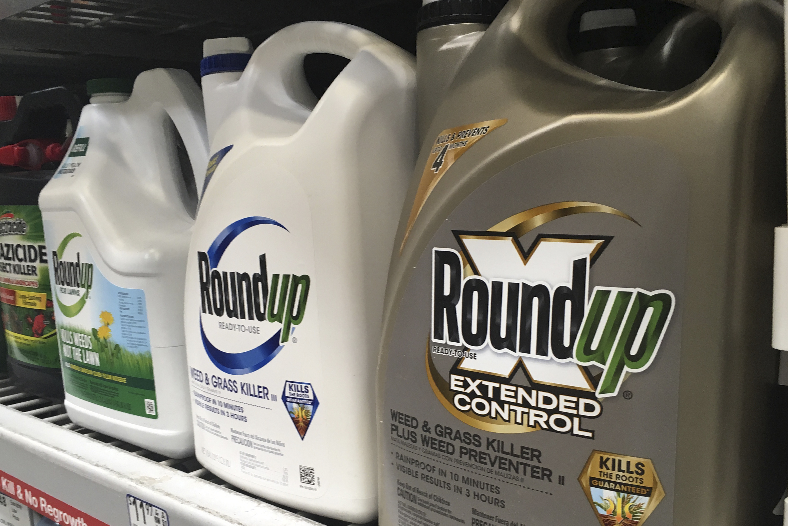 FILE - Containers of Roundup are displayed on a store shelf in San Francisco, Feb. 24, 2019. (AP Photo/Haven Daley, File)