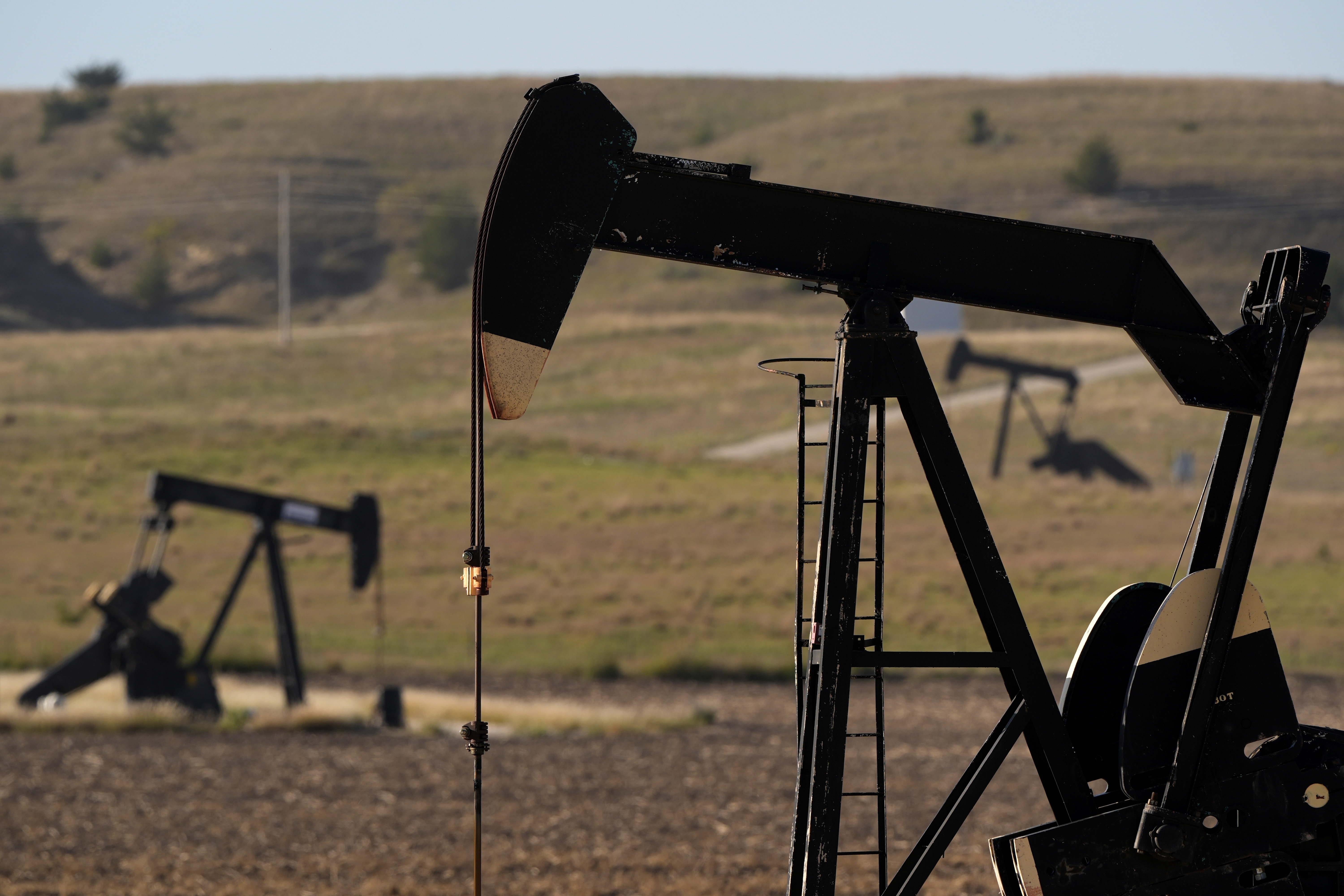 FILE - Pumpjacks operate in a pasture, Sept. 30, 2024, near Hays, Kan. (AP Photo/Charlie Riedel, File)