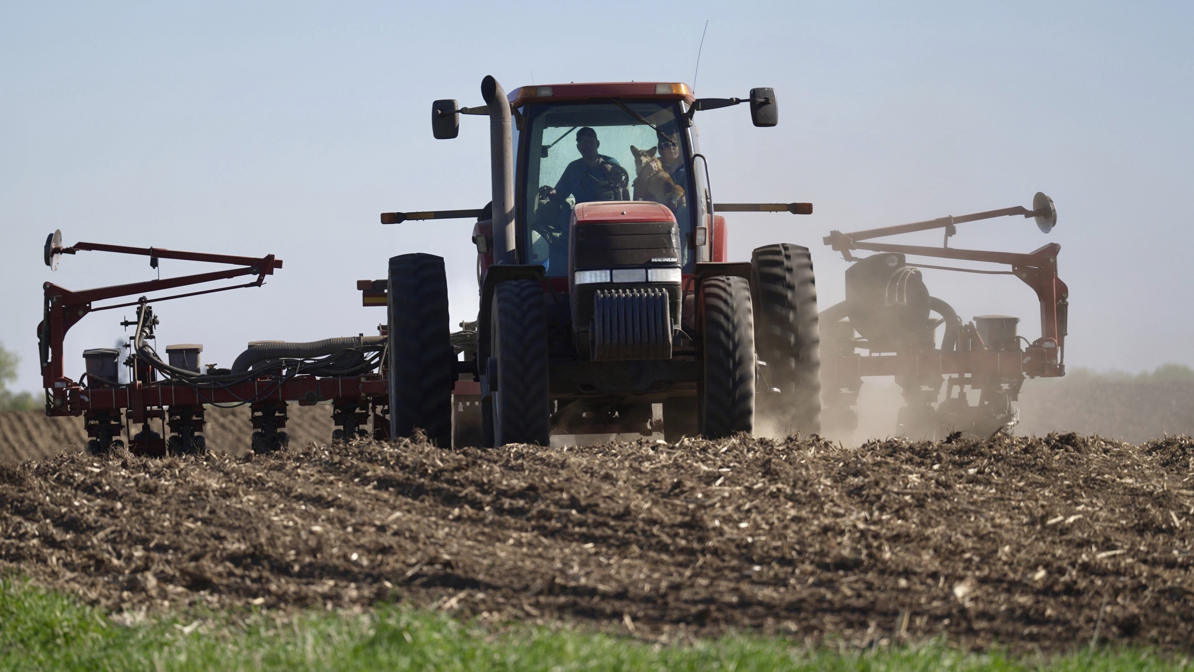 Soybeans are planted on Thursday, May 8, 2025 near Waverly, Minn. (AP Photo/Mark Vancleave)