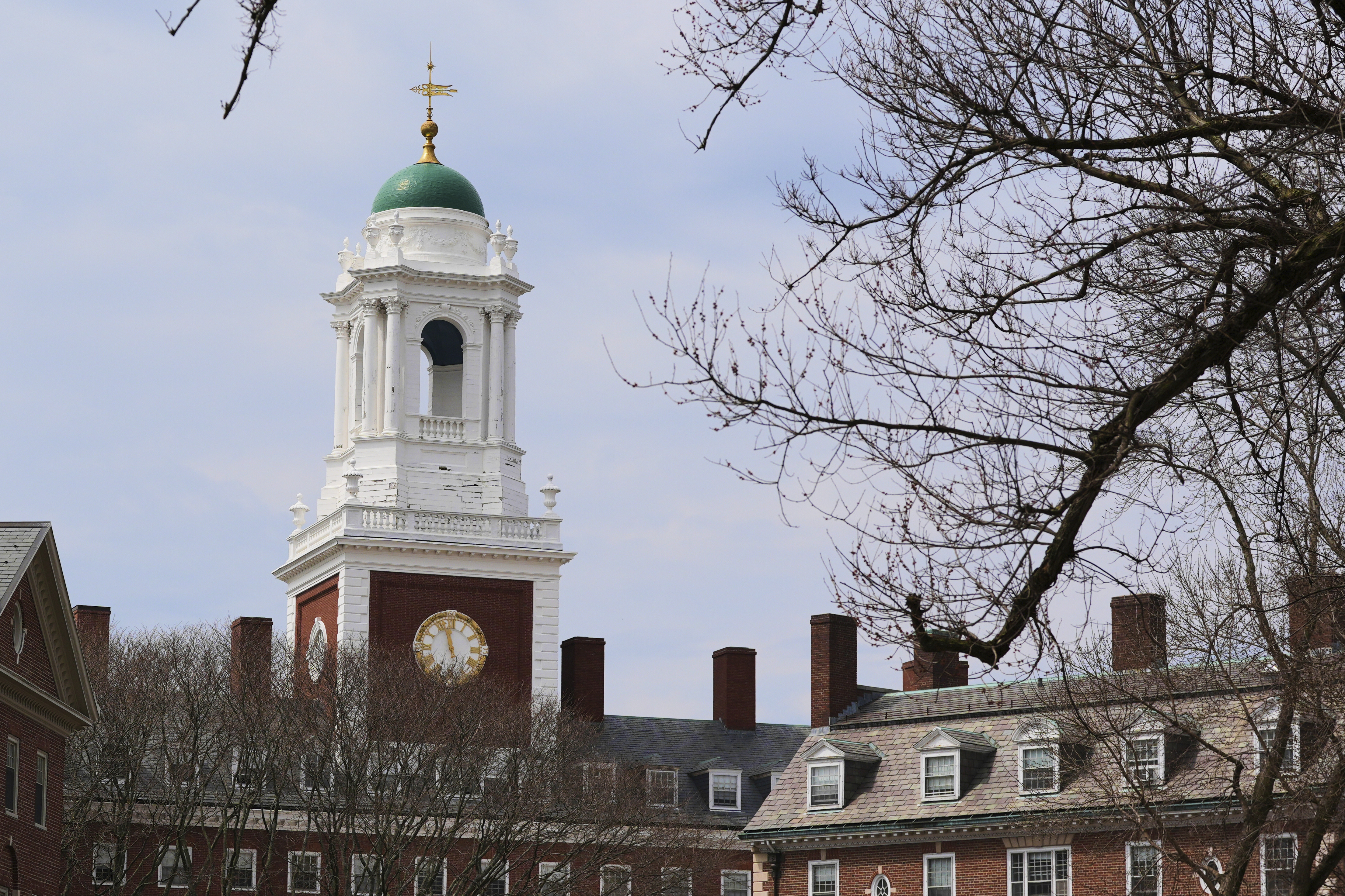 Spring buds appear on a tree near Eliot House, rear, at Harvard University, Tuesday, April 15, 2025, in Cambridge, Mass. (AP Photo/Charles Krupa)