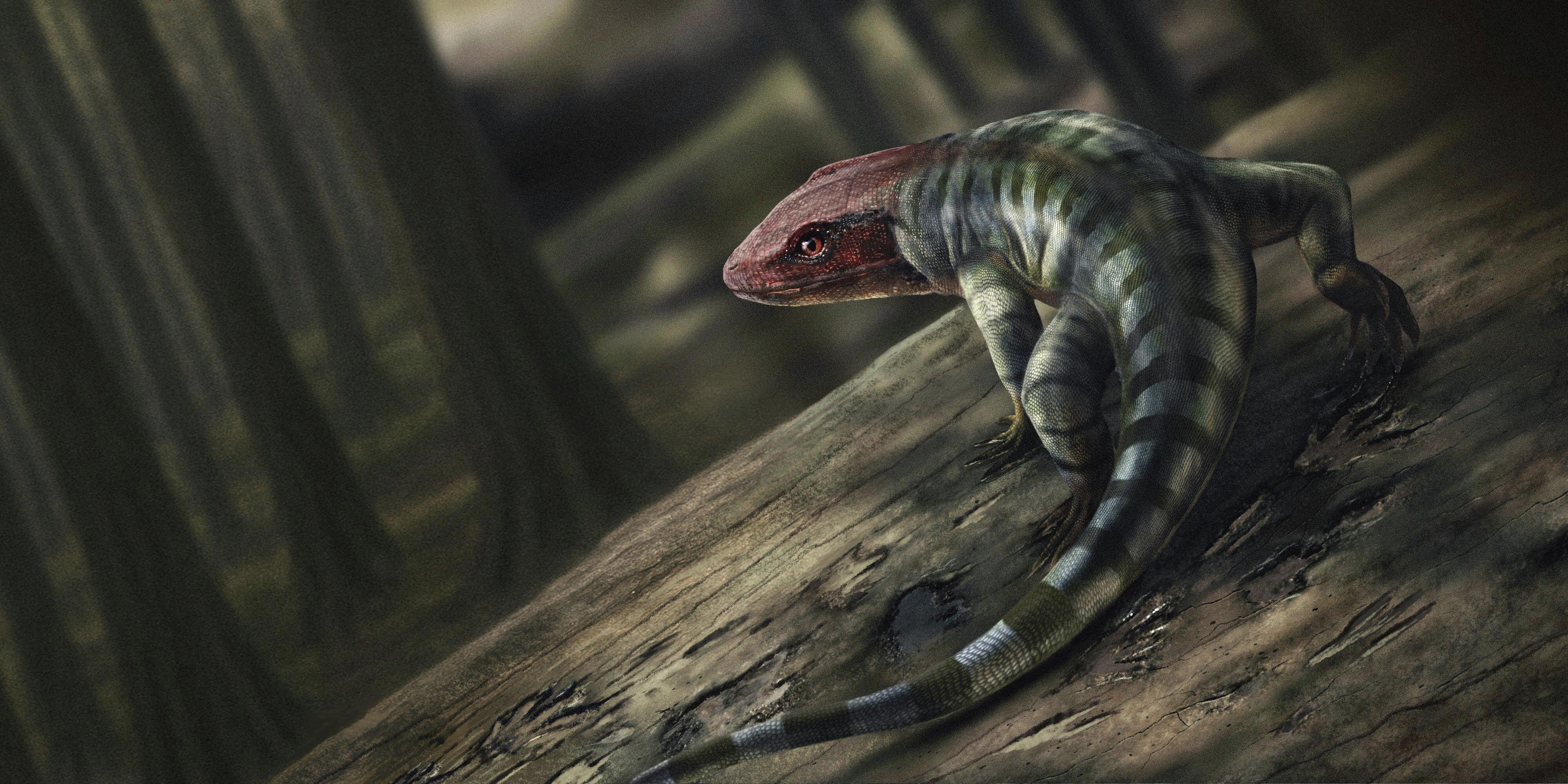 This image provided by Prof. Per Erik Ahlberg shows an artist's illustration of the possible appearance of a reptile-like creature that lived around 350 million years ago in what's now Australia. The animal was around 2 ½ feet long (80 cm) and its feet has long fingers and claws, which are visible in newly discovered fossil footprints. (Marcin Ambrozik/Prof. Per Erik Ahlberg via AP)