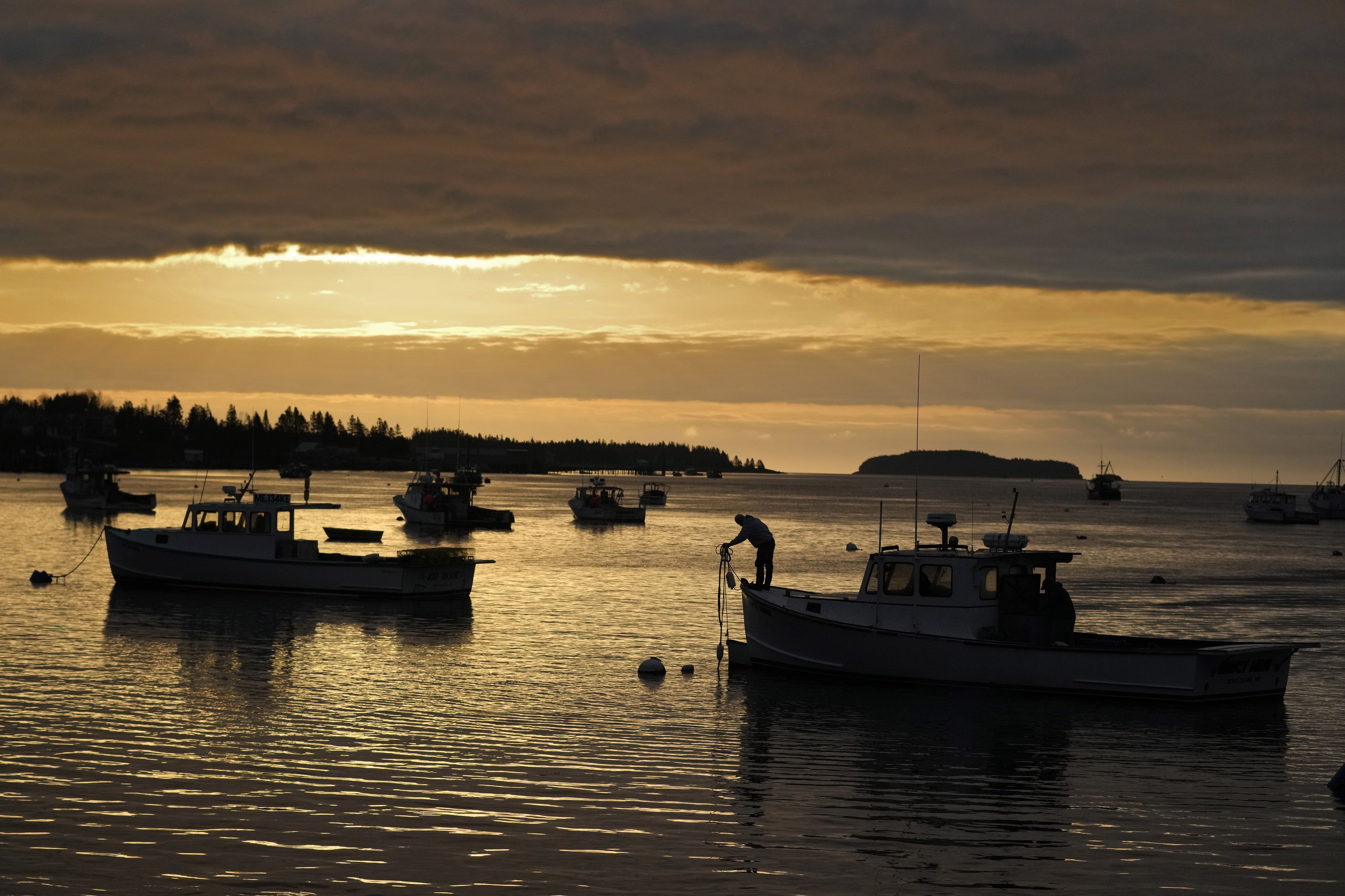 FILE- A lobstermen unties his boat before heading out to fish in Jonesport, Maine, April 27, 2023. (AP Photo/Robert F. Bukaty, File)