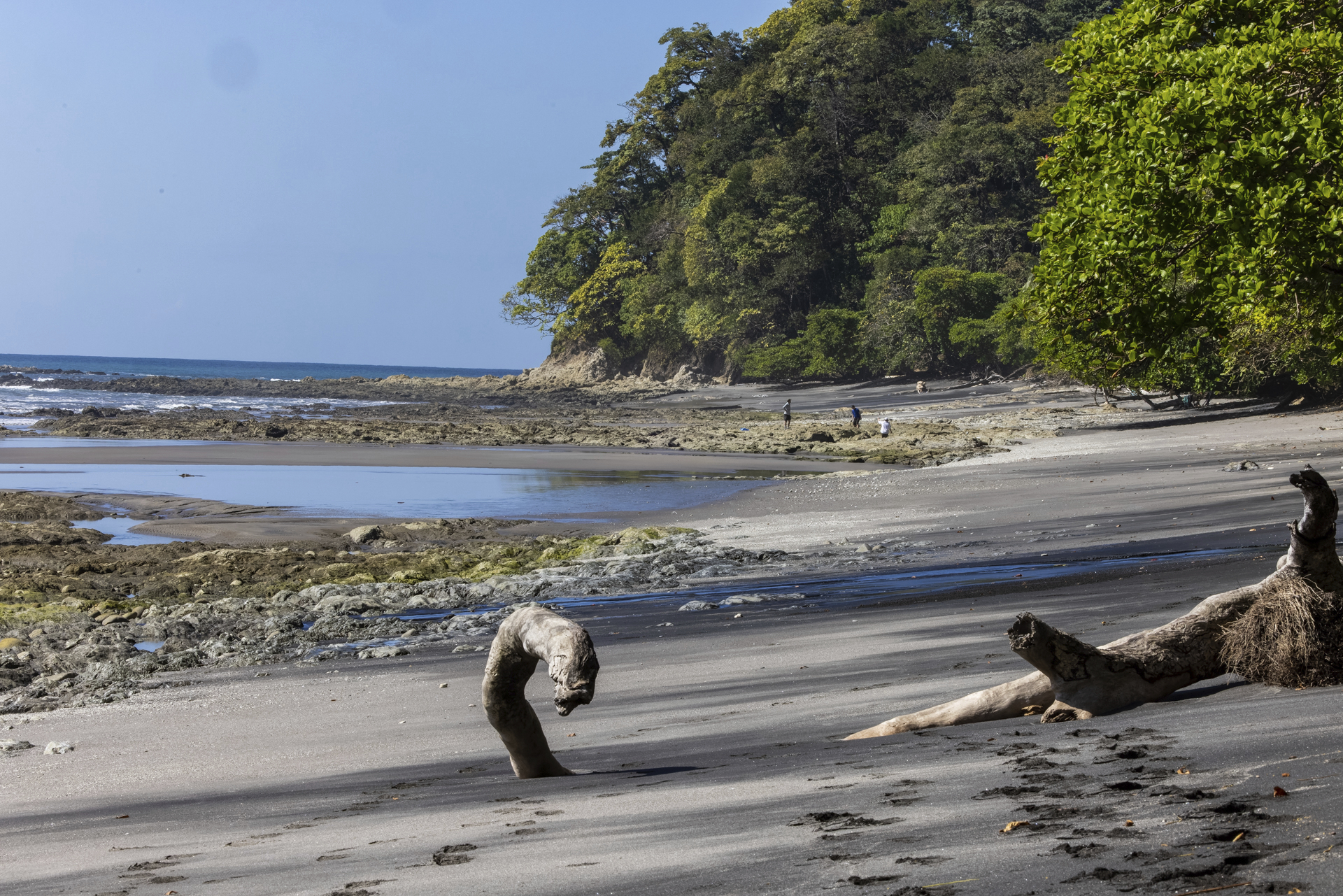 This photo provided by researchers shows a beach of Jicarón Island, Panama in January 2022. (Christian Ziegler/Max Planck Institute of Animal Behavior via AP)