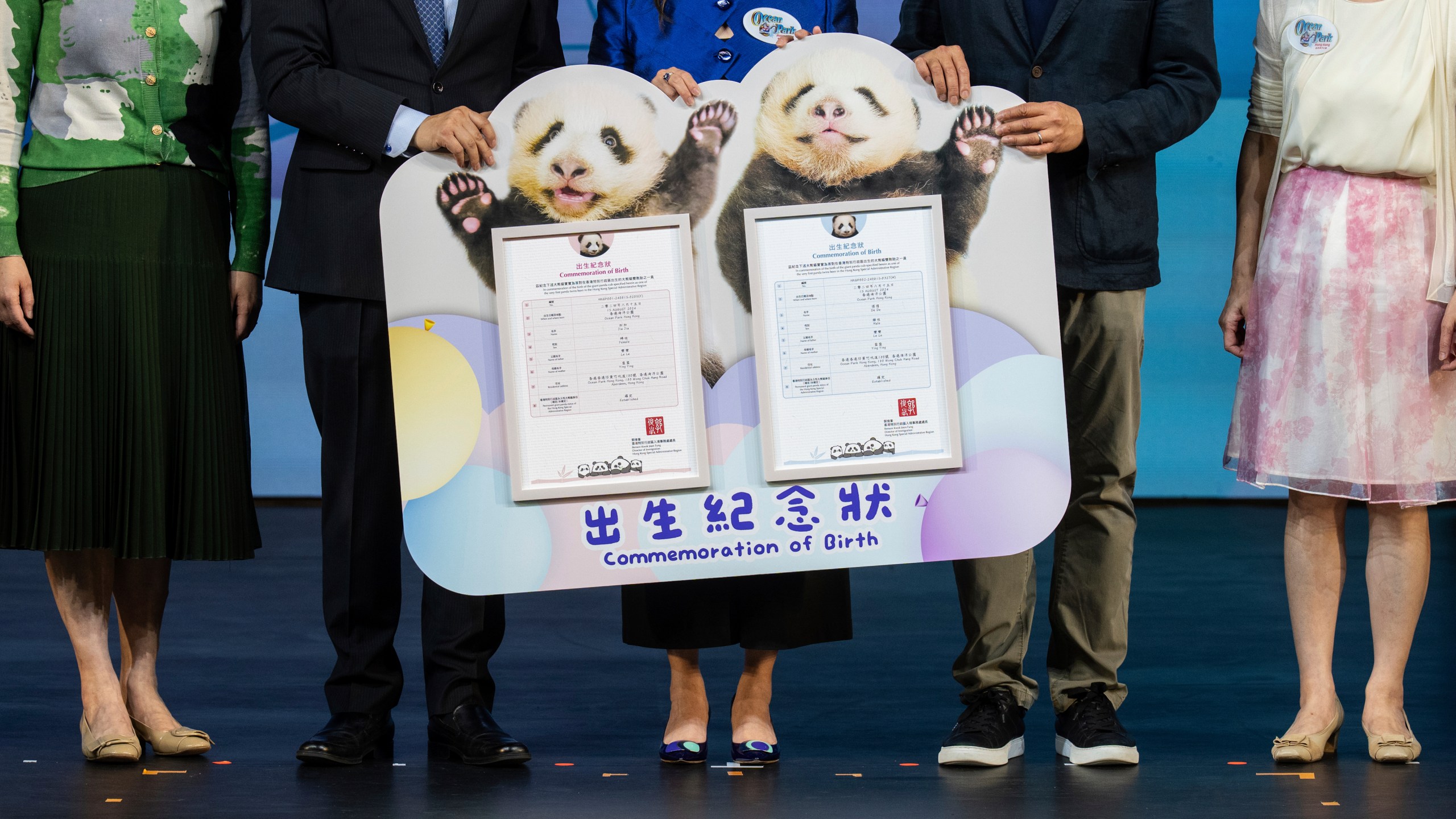Guests hold a birth certificate of the Hong Kong-born giant panda twin cubs Jia Jia and De De during the naming ceremony in Hong Kong, Tuesday, May 27, 2025. (AP Photo/Chan Long Hei)
