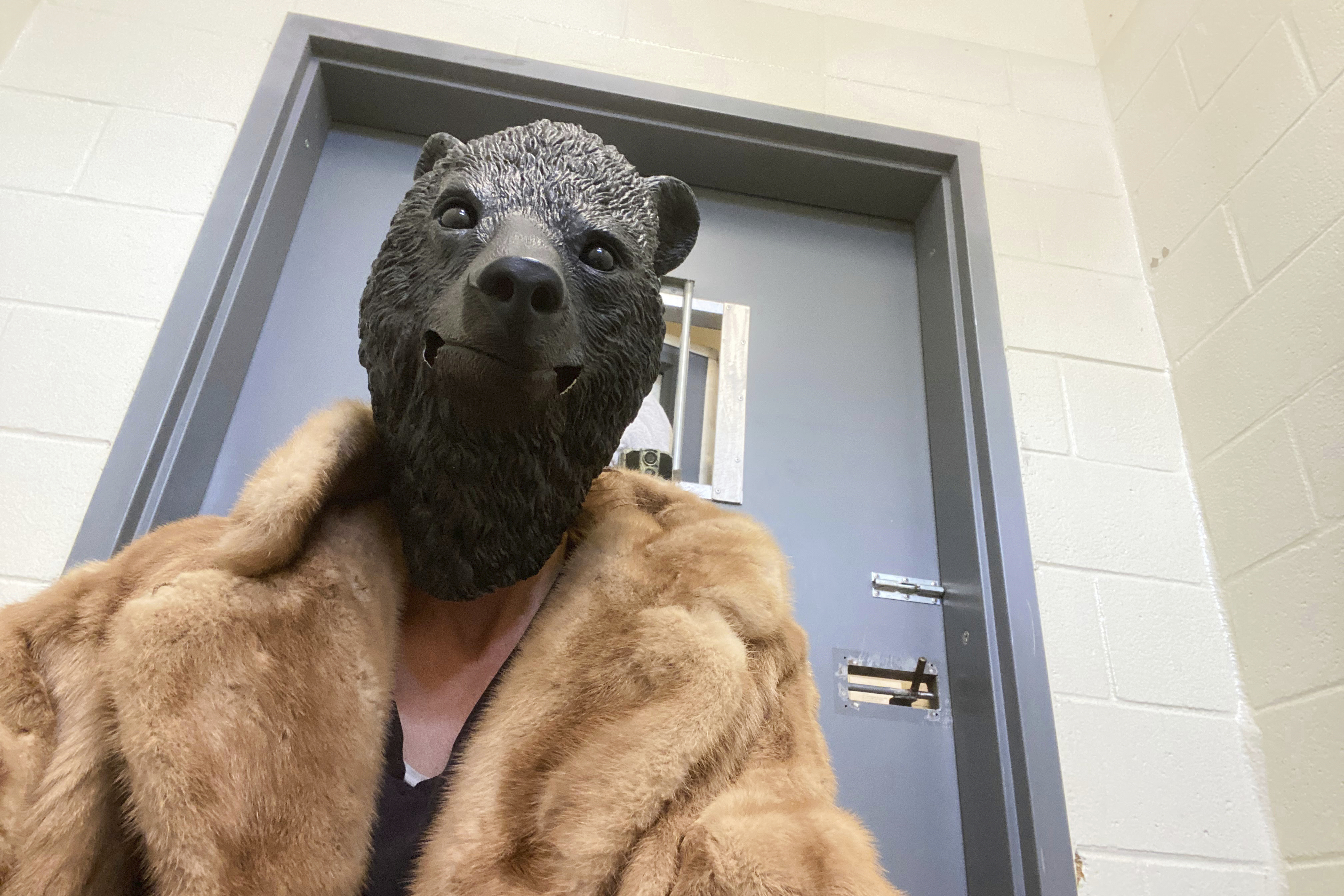 In this photo provided by San Diego Humane Society, a San Diego Humane Society employee wears a mask before interacting with a bear cub, which was found alone in Los Padres National Forest, at the San Diego Human Society Ramona Wildlife Center on Wednesday, April 23, 2025, in Ramona, Calif. (San Diego Humane Society via AP)
