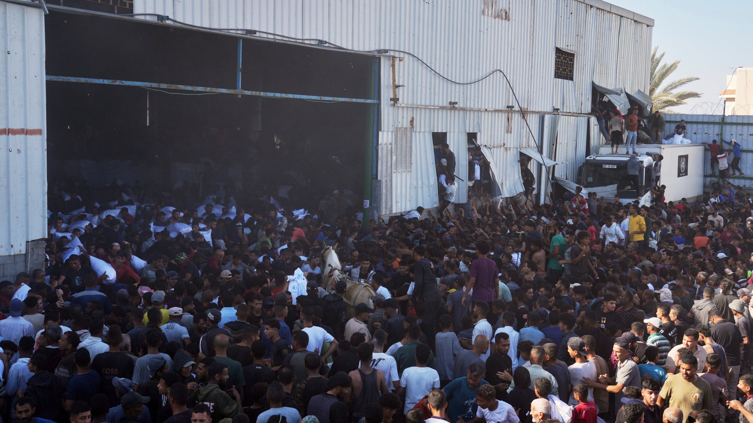 Palestinians storming a U.N. World Food Program warehouse and carry bags of flour in Zawaida, Central Gaza Strip, on Wednesday, May 28, 2025. (AP Photo/Abdel Kareem Hana)