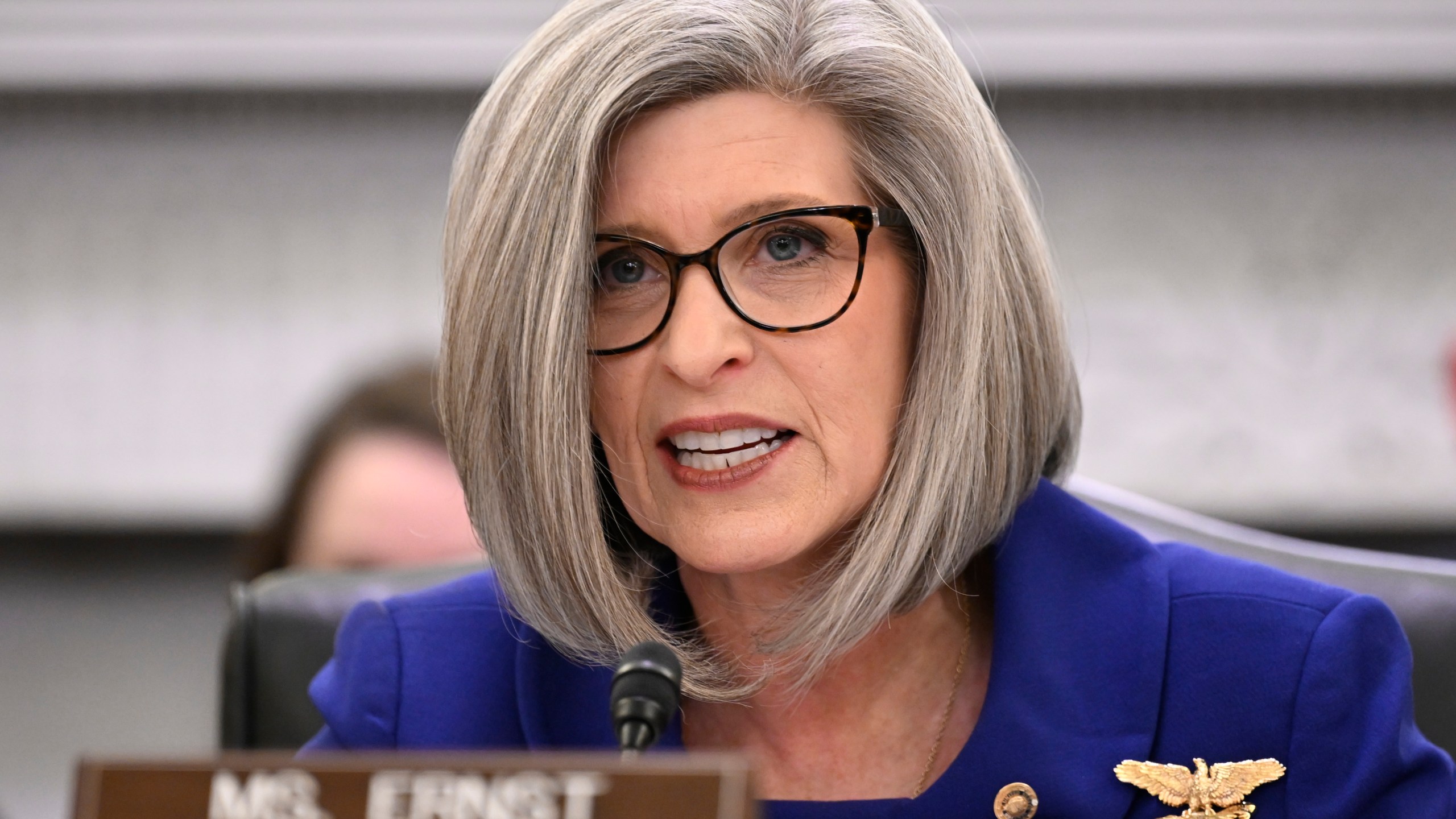 FILE - Sen. Joni Ernst, R-Iowa, speaks at a hearing on Capitol Hill Jan. 29, 2025, in Washington. (AP Photo/John McDonnell, File)
