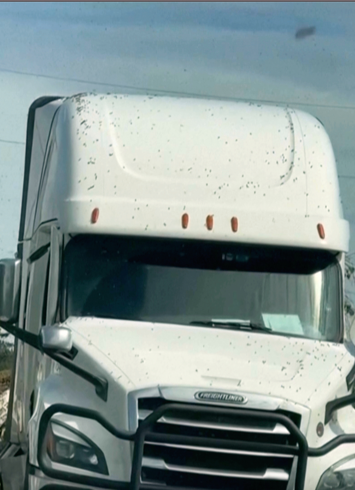 This image taken from video provided by Whatcom County Sheriff's Office shows a truck hauling an estimated 70,000 pounds of honeybee hives overturn on Friday, May 30, 2025 near Lynden, Wash. (Whatcom County Sheriff's Office via AP)