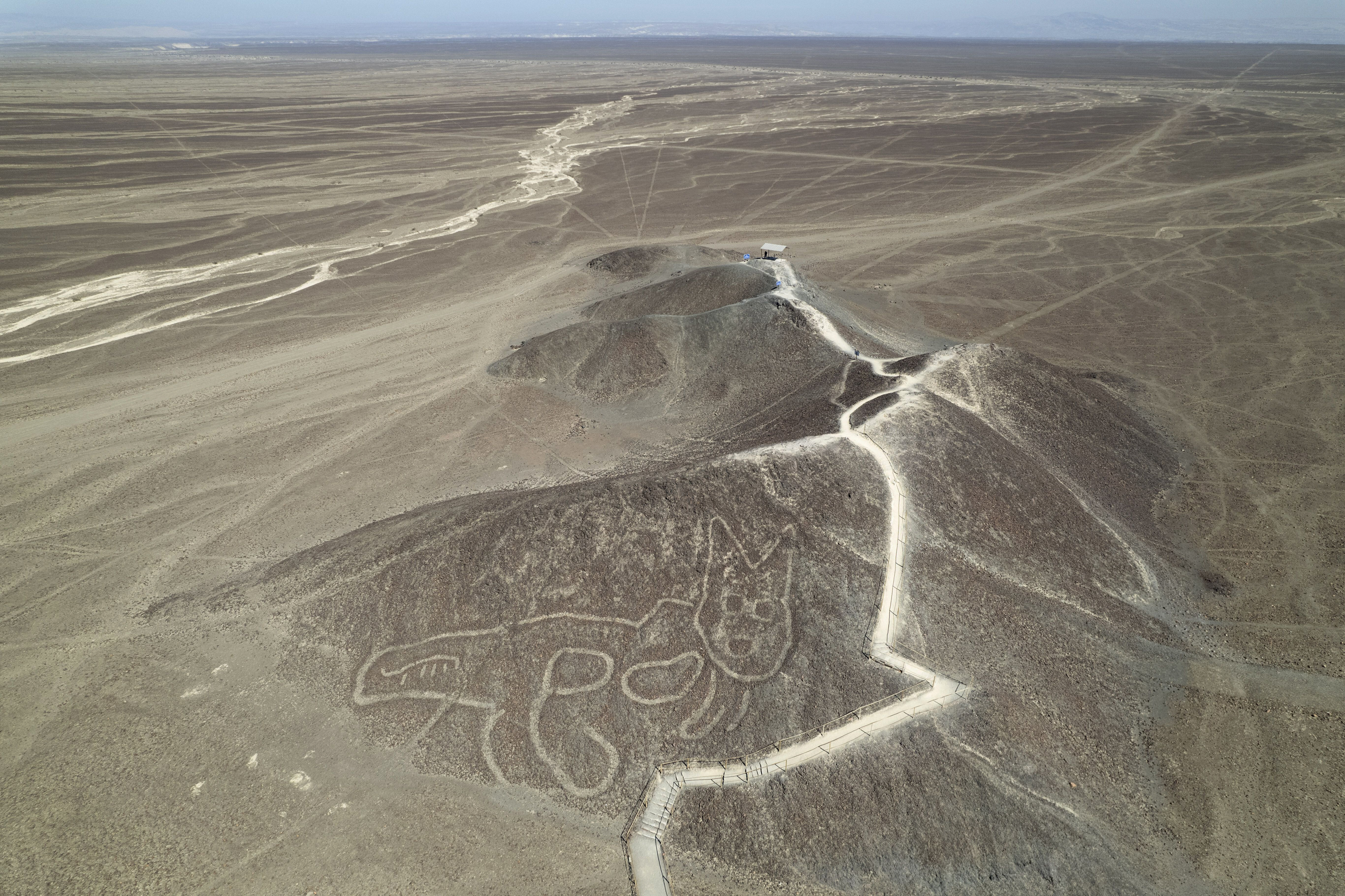 FILE - A cat-like Nazca Line geoglyph is visible from above in Nazca, Peru, May 17, 2023. (AP Photo/Martin Mejia, File)