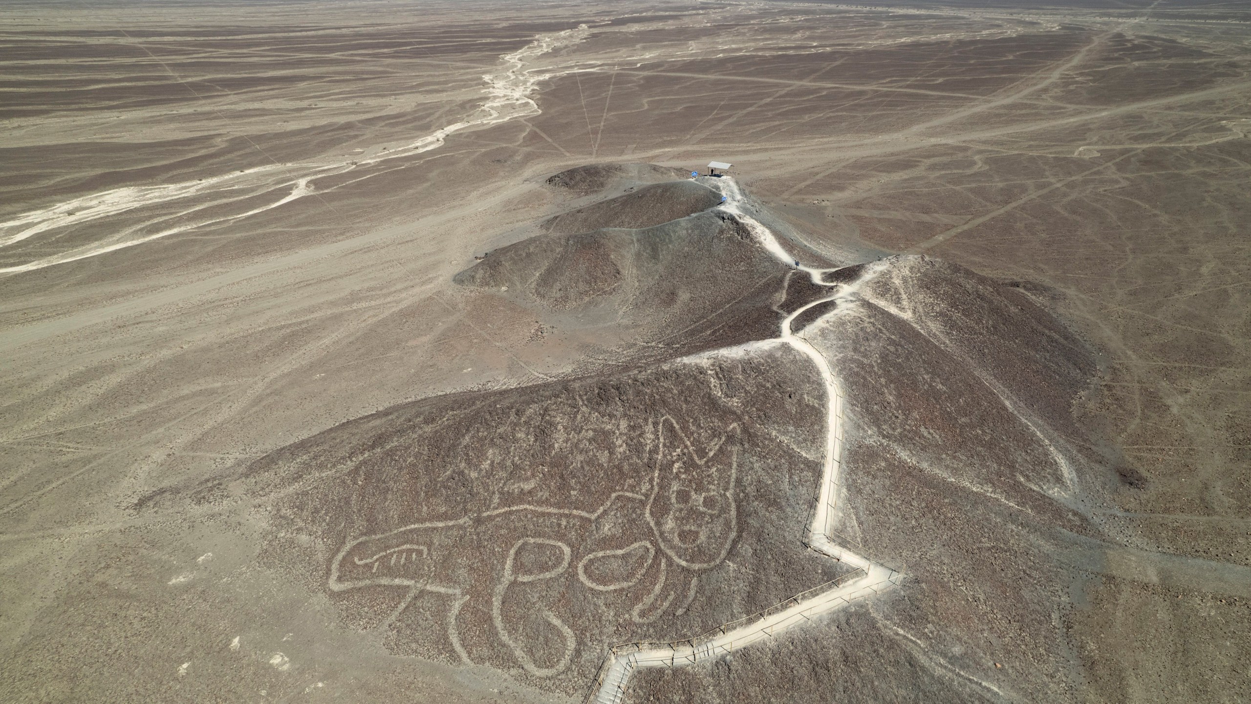 FILE - A cat-like Nazca Line geoglyph is visible from above in Nazca, Peru, May 17, 2023. (AP Photo/Martin Mejia, File)