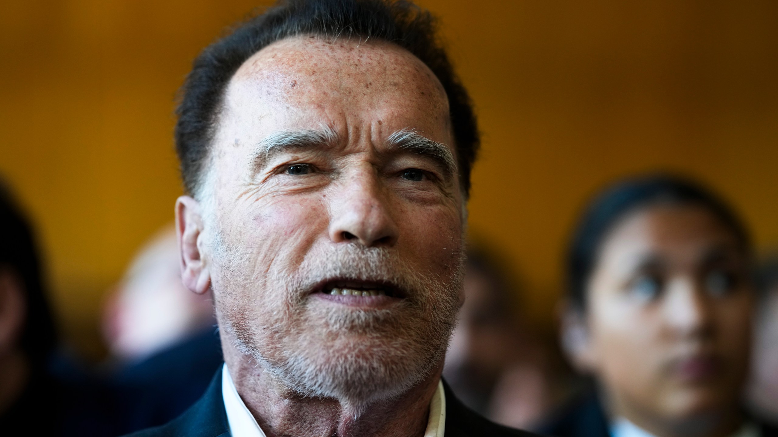 FILE - Former California Gov. and actor Arnold Schwarzenegger, center, arrives for a ceremony to receive a honorary doctorate by the Hertie School, a university of governance, in Berlin, Germany, Tuesday, Sept. 17, 2024. (AP Photo/Markus Schreiber, File)