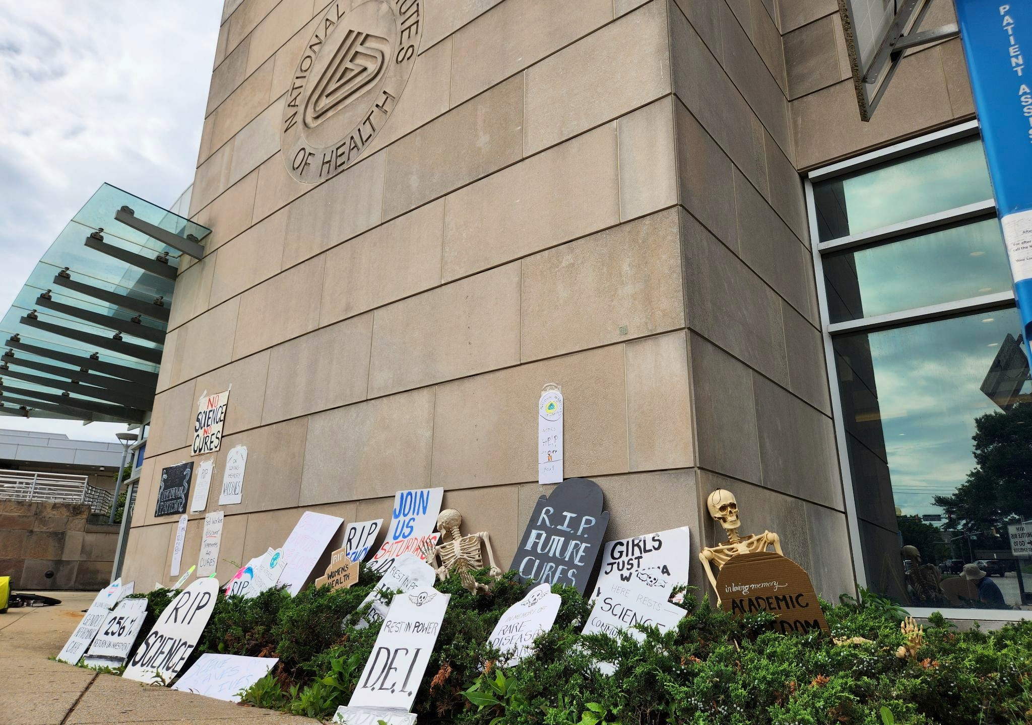 This photo obtained by The Associated Press shows cardboard tombstones symbolizing canceled research grants at the NIH Visitors Center in Bethesda, Md., Saturday, on June 7, 2025. (AP Photo)
