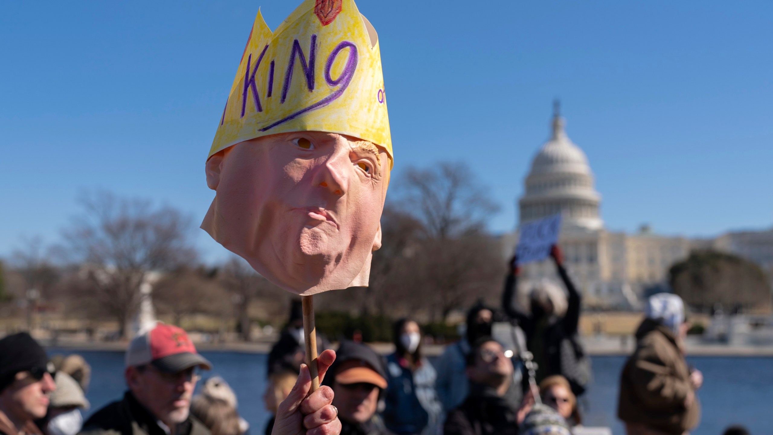 FILE - People take part in the "No Kings Day" protest on Presidents Day in Washington, in support of federal workers and against recent actions by President Donald Trump and Elon Musk, Monday, Feb. 17, 2025, by the Capitol in Washington. (AP Photo/Jose Luis Magana,File)