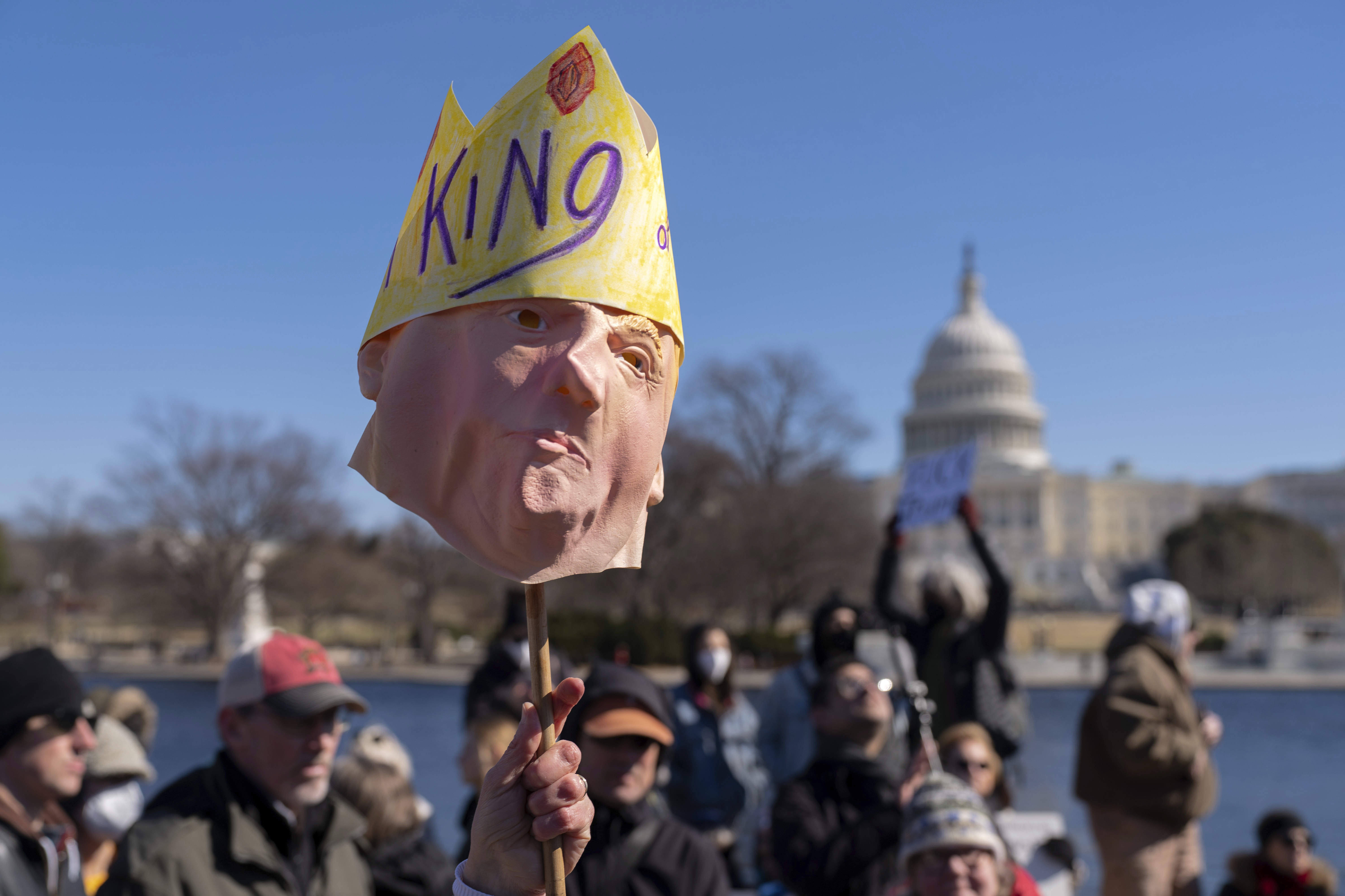 FILE - People take part in the "No Kings Day" protest on Presidents Day in Washington, in support of federal workers and against recent actions by President Donald Trump and Elon Musk, Monday, Feb. 17, 2025, by the Capitol in Washington. (AP Photo/Jose Luis Magana,File)