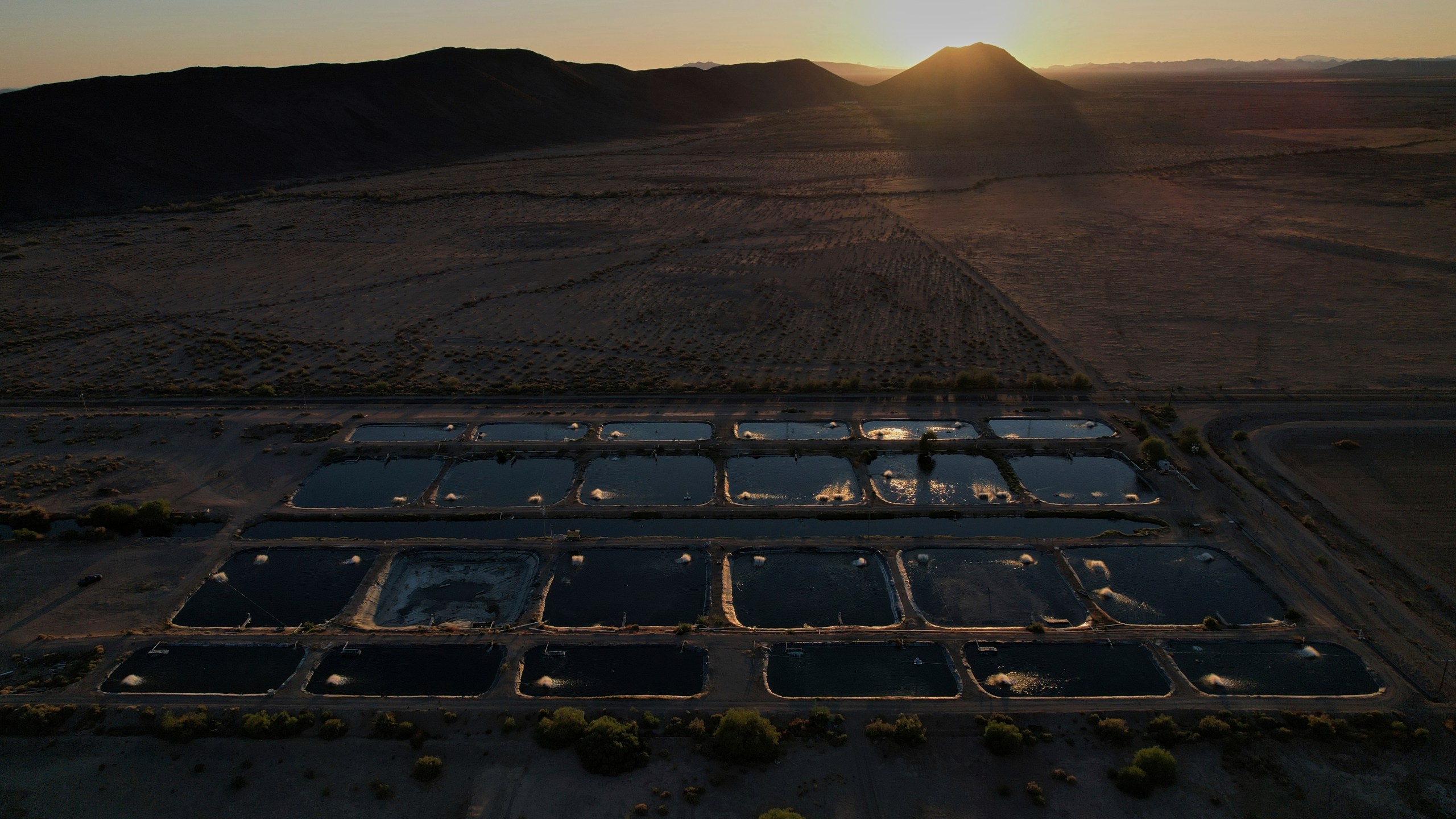 Sunlight reflects off artificial ponds Saturday, April 19, 2025, at a Mainstream USA fish farm in Dateland, Ariz. (AP Photo/Joshua A. Bickel)