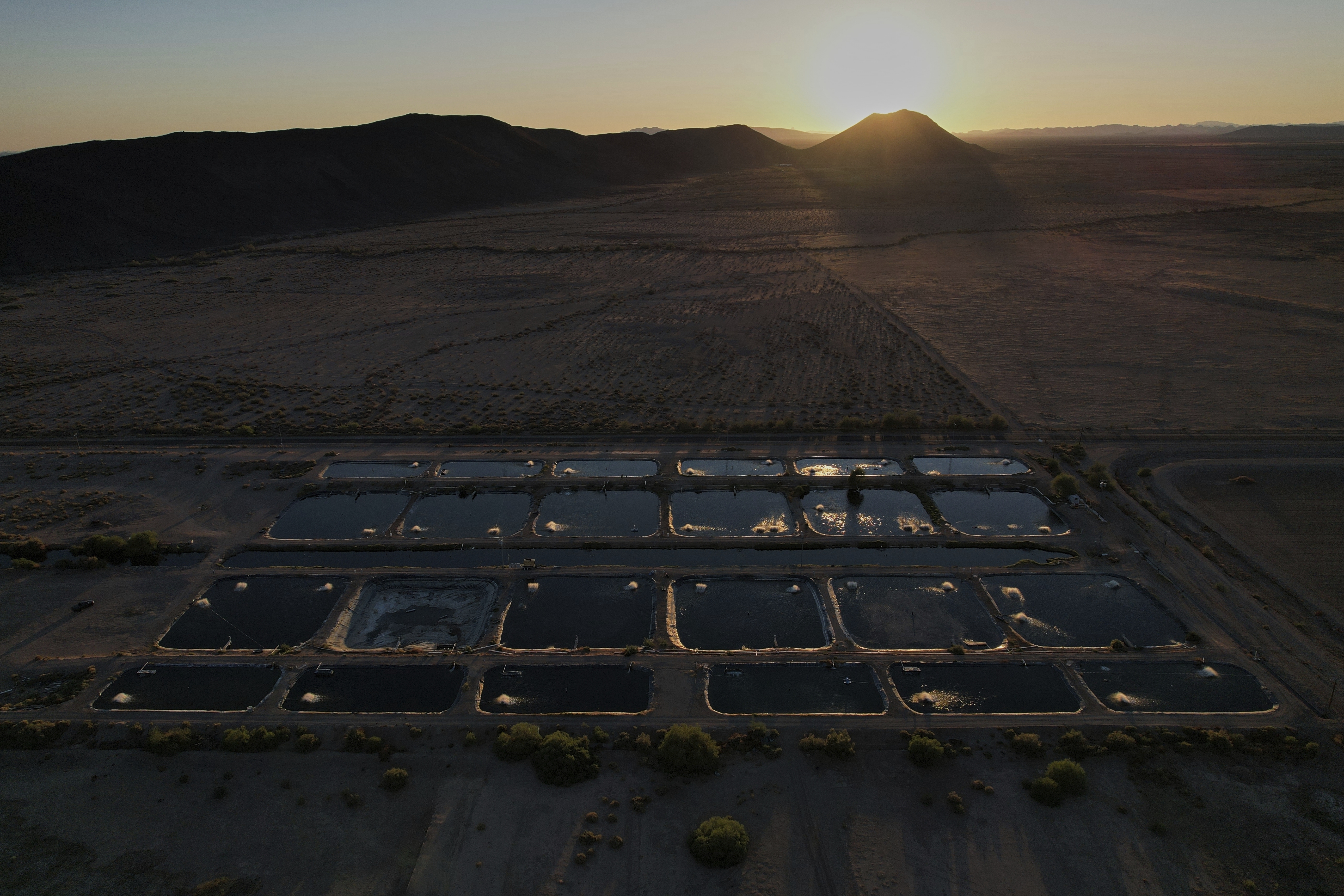 Sunlight reflects off artificial ponds Saturday, April 19, 2025, at a Mainstream USA fish farm in Dateland, Ariz. (AP Photo/Joshua A. Bickel)