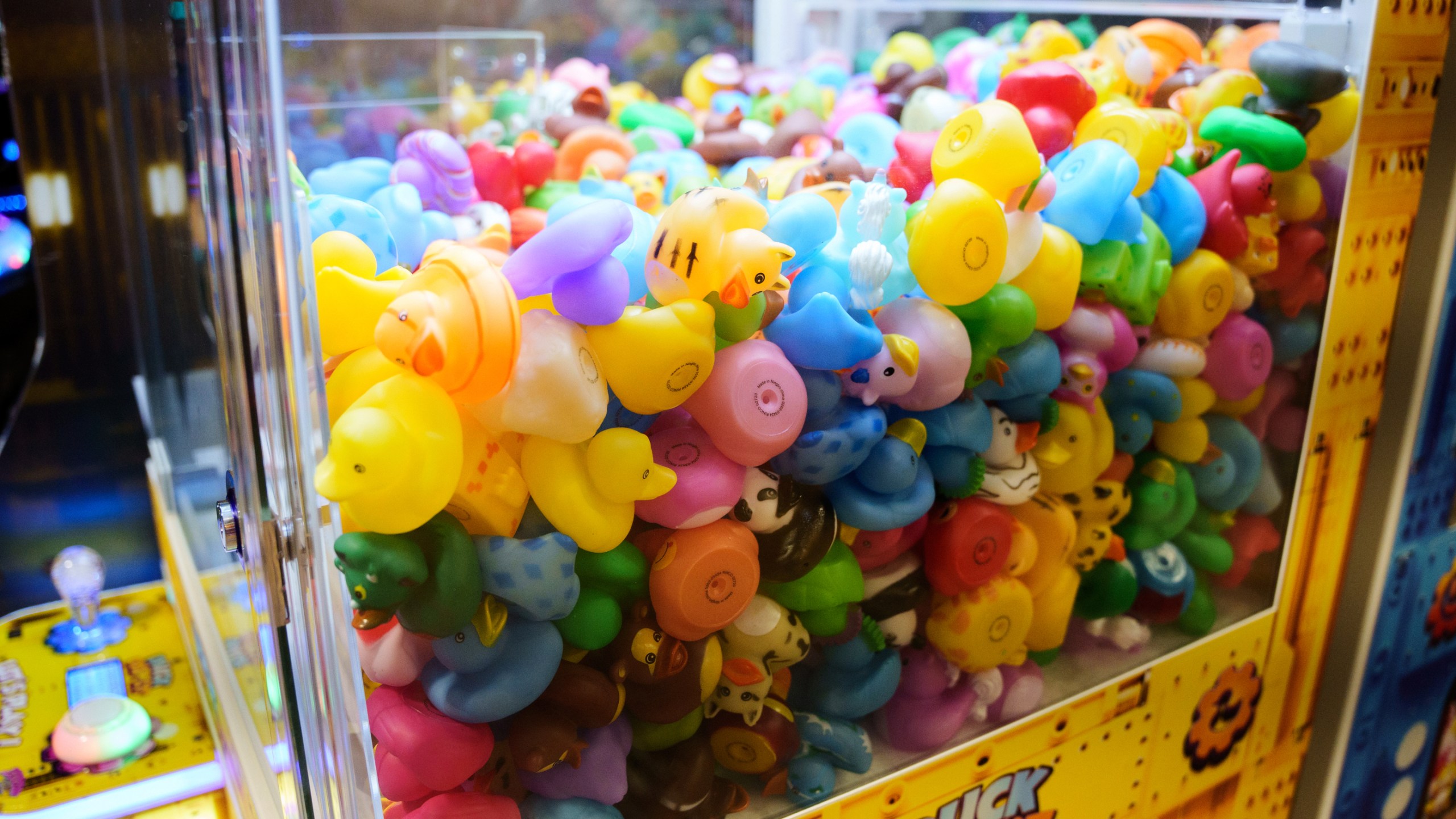 Rubber ducks in a claw machine at Playland's Castaway Cove amusement park, in Ocean City, N.J, on Friday, June 6, 2025. (AP Photo/Mingson Lau)