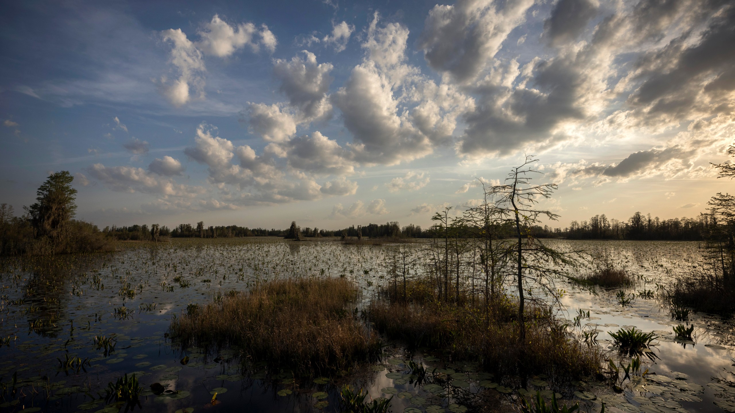 FILE - The sun sets on the lily pads and floating vegetation in the Chesser Prairie inside the Okefenokee National Wildlife Refuge on March 30, 2022, in Folkston, Ga. (AP Photo/Stephen B. Morton, File)
