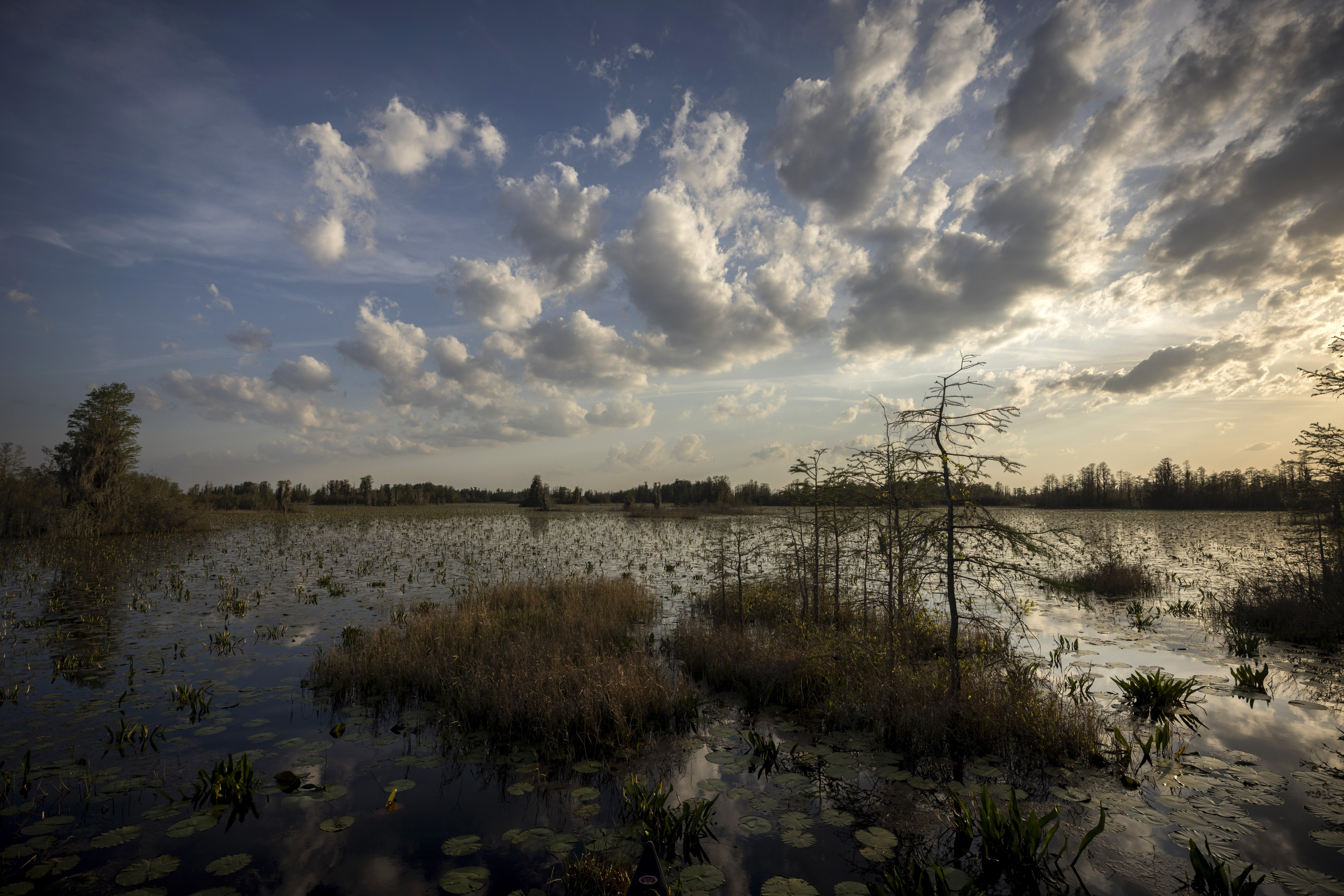 FILE - The sun sets on the lily pads and floating vegetation in the Chesser Prairie inside the Okefenokee National Wildlife Refuge on March 30, 2022, in Folkston, Ga. (AP Photo/Stephen B. Morton, File)