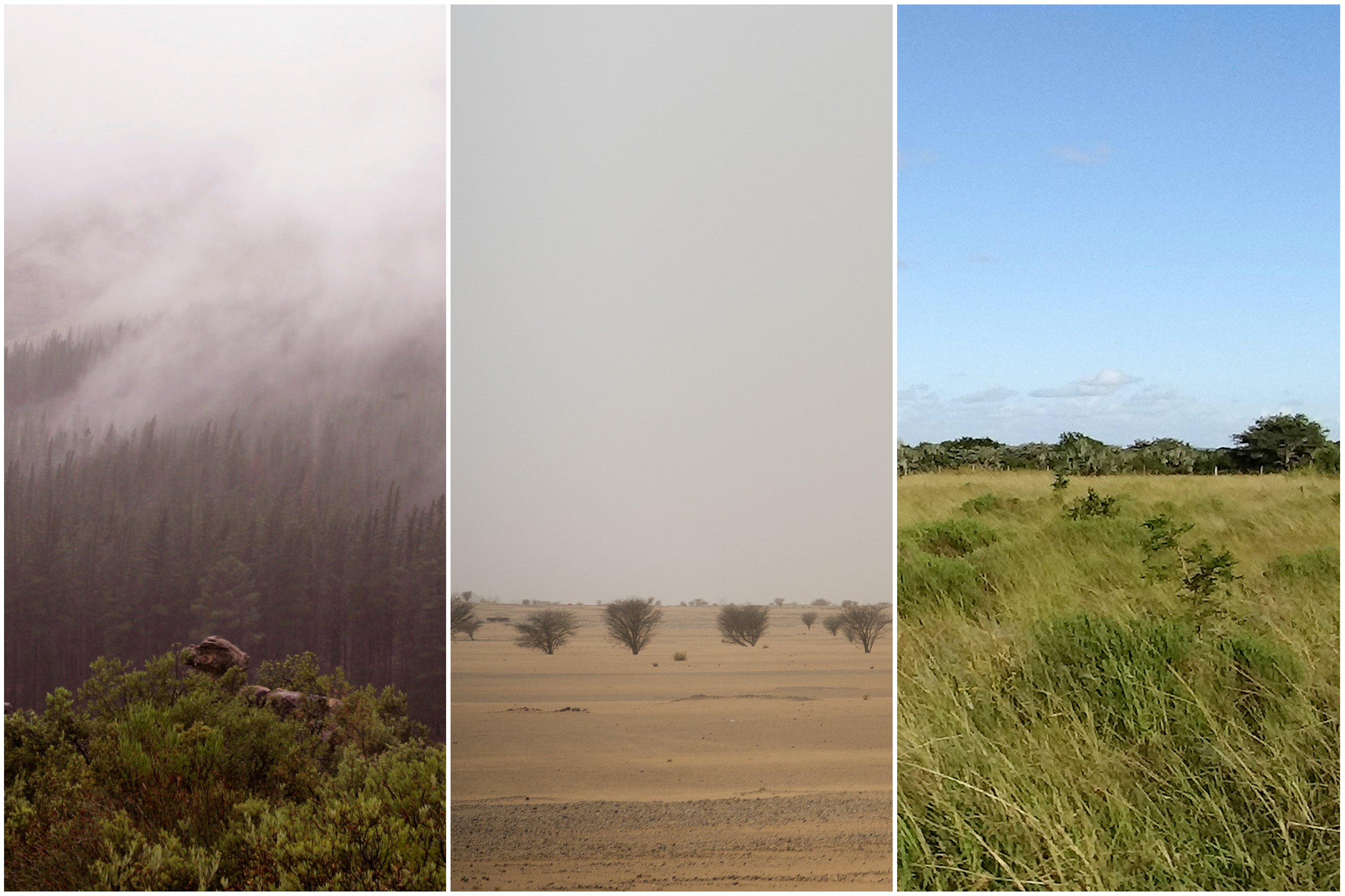 This combination of 2007, 2018 and 2012 photos shows, from left, the Cederberg mountain range in South Africa, the Tenere desert in Niger and savanna in South Africa. (AP Photo/Schalk van Zuydam, Jerome Delay, Matthew Craft)