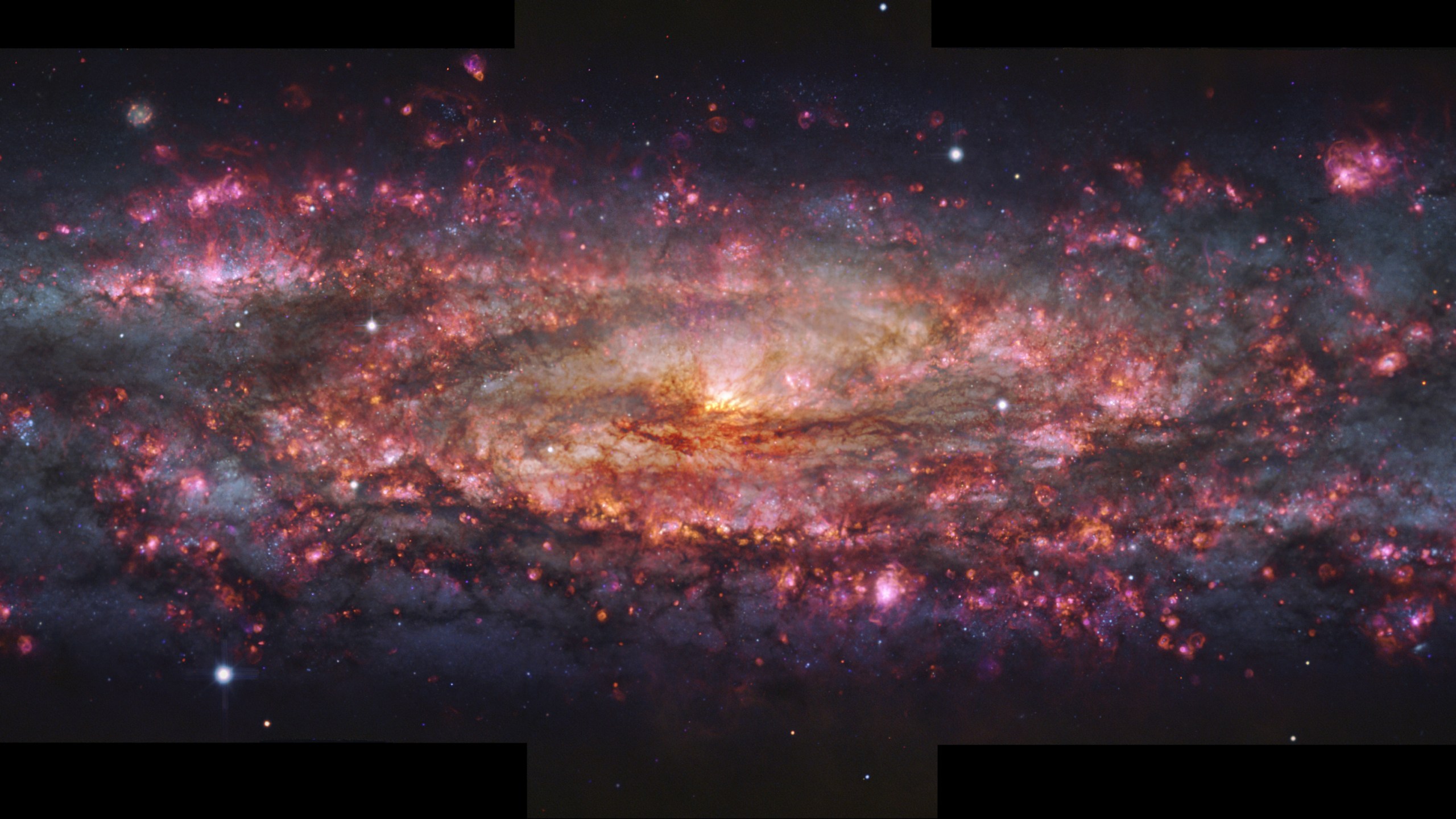 This handout provided by the European Southern Observatory shows a detailed, thousand-colour image of the Sculptor Galaxy captured with the MUSE instrument at ESO's Very Large Telescope (VLT). (ESO via AP)