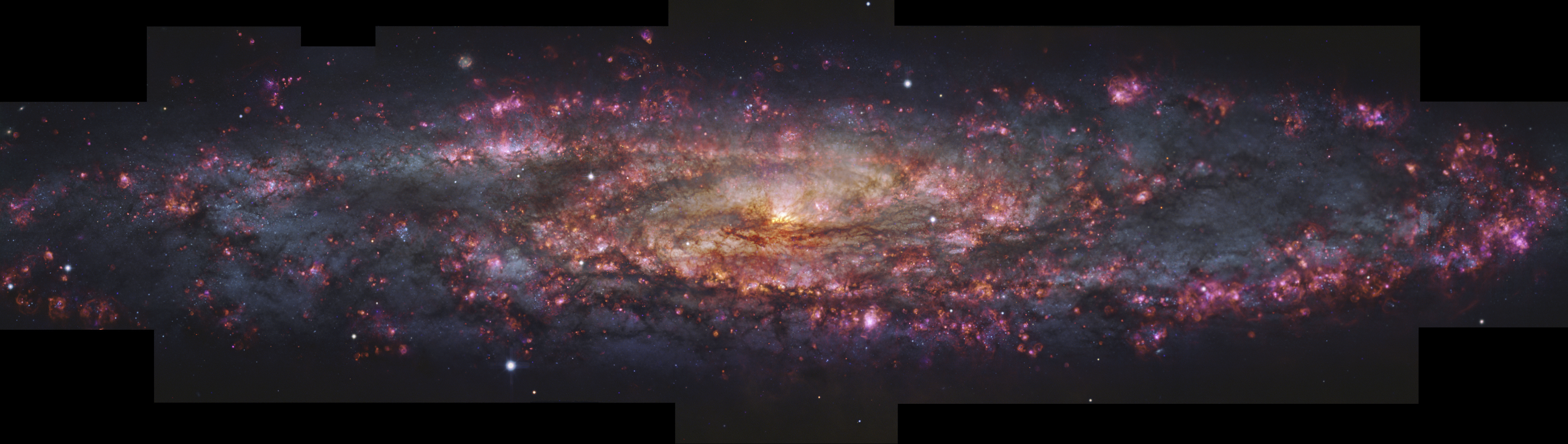 This handout provided by the European Southern Observatory shows a detailed, thousand-colour image of the Sculptor Galaxy captured with the MUSE instrument at ESO's Very Large Telescope (VLT). (ESO via AP)