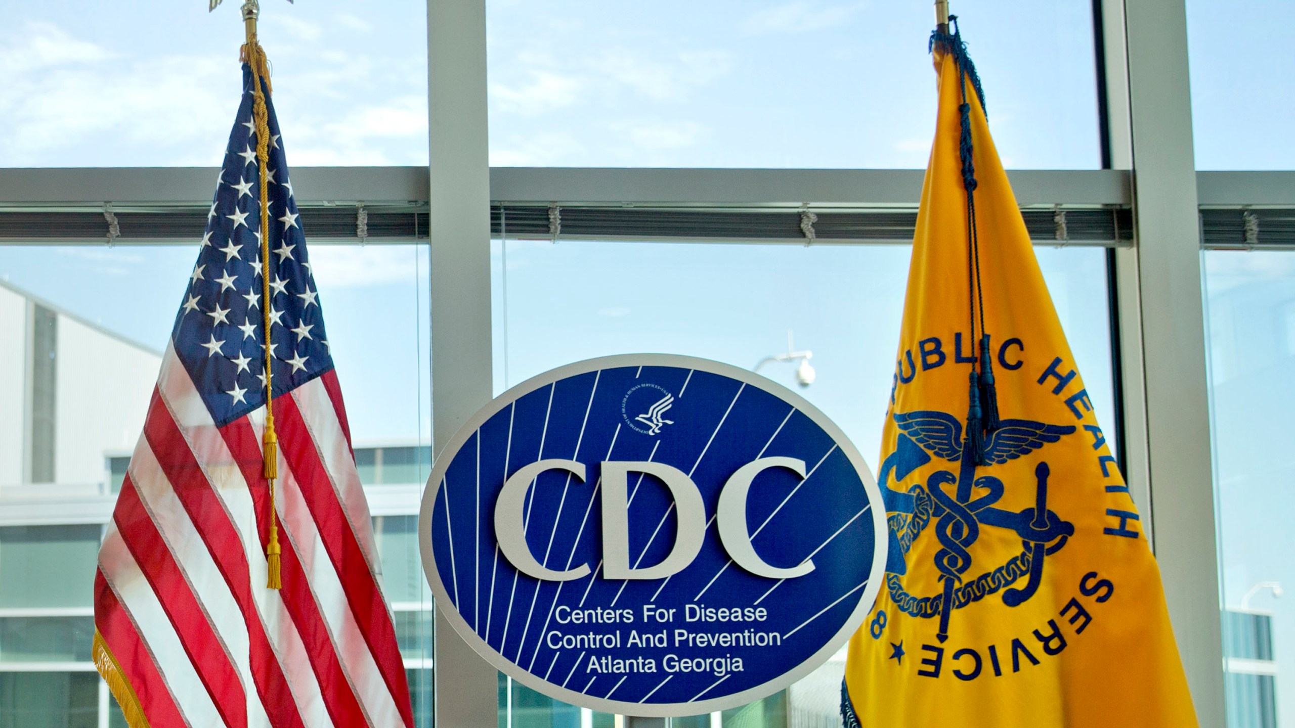 FILE - A Centers for Disease Control and Prevention logo, center, is displayed at the agency's federal headquarters in Atlanta on Nov. 19, 2013. (AP Photo/David Goldman, File)