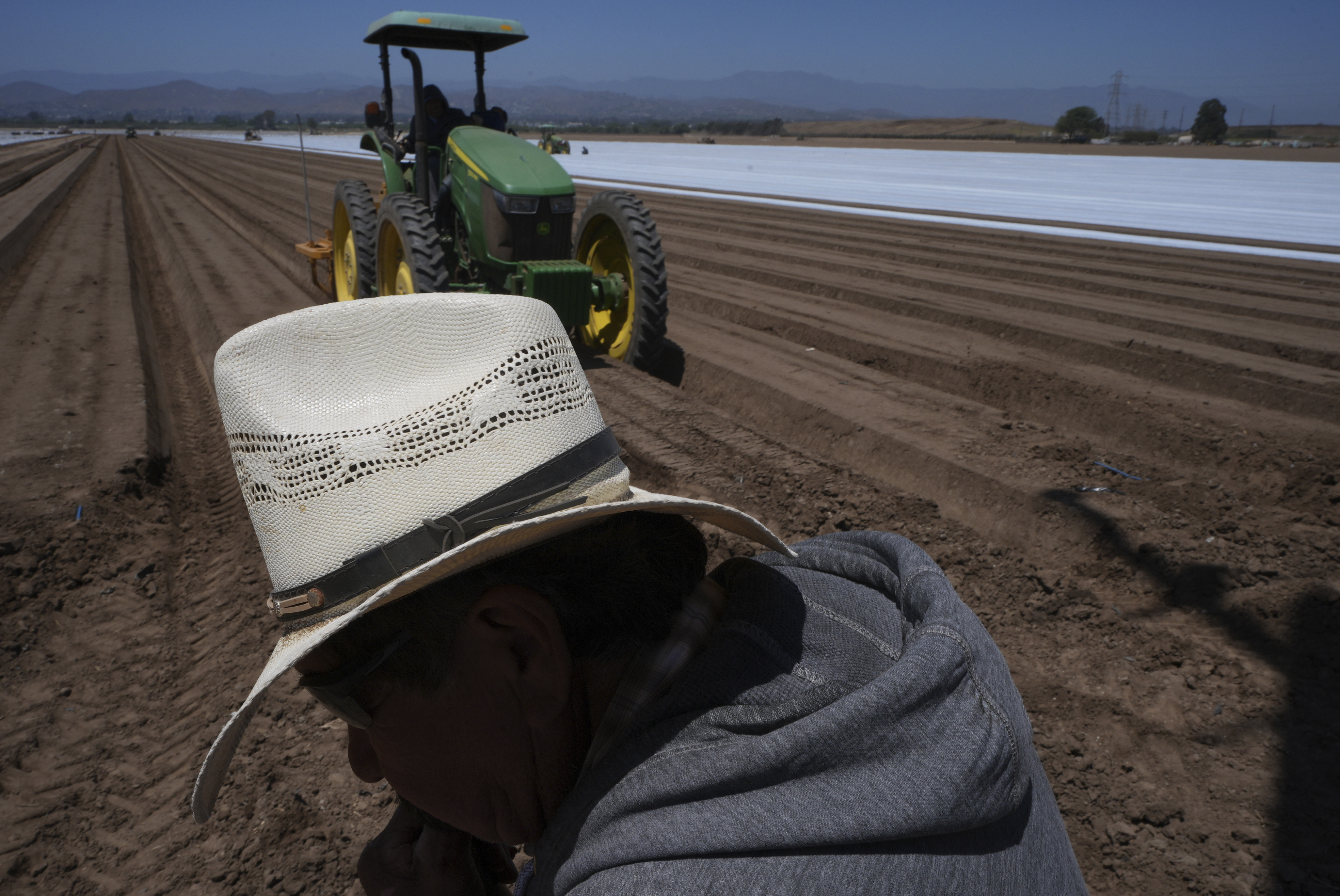 Farm workers plow the land for a strawberry field in Oxnard, Calif., on Wednesday, June 18, 2025. (AP Photo/Damian Dovarganes)