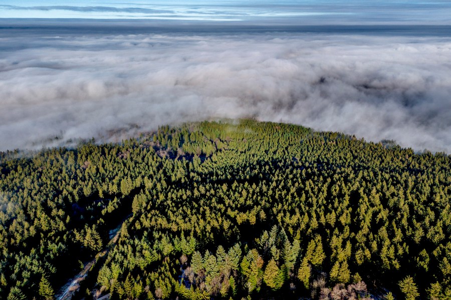 FILE - Fog lies on the forests of the Taunus region near Frankfurt, Germany, Dec. 25, 2024. (AP Photo/Michael Probst, File)