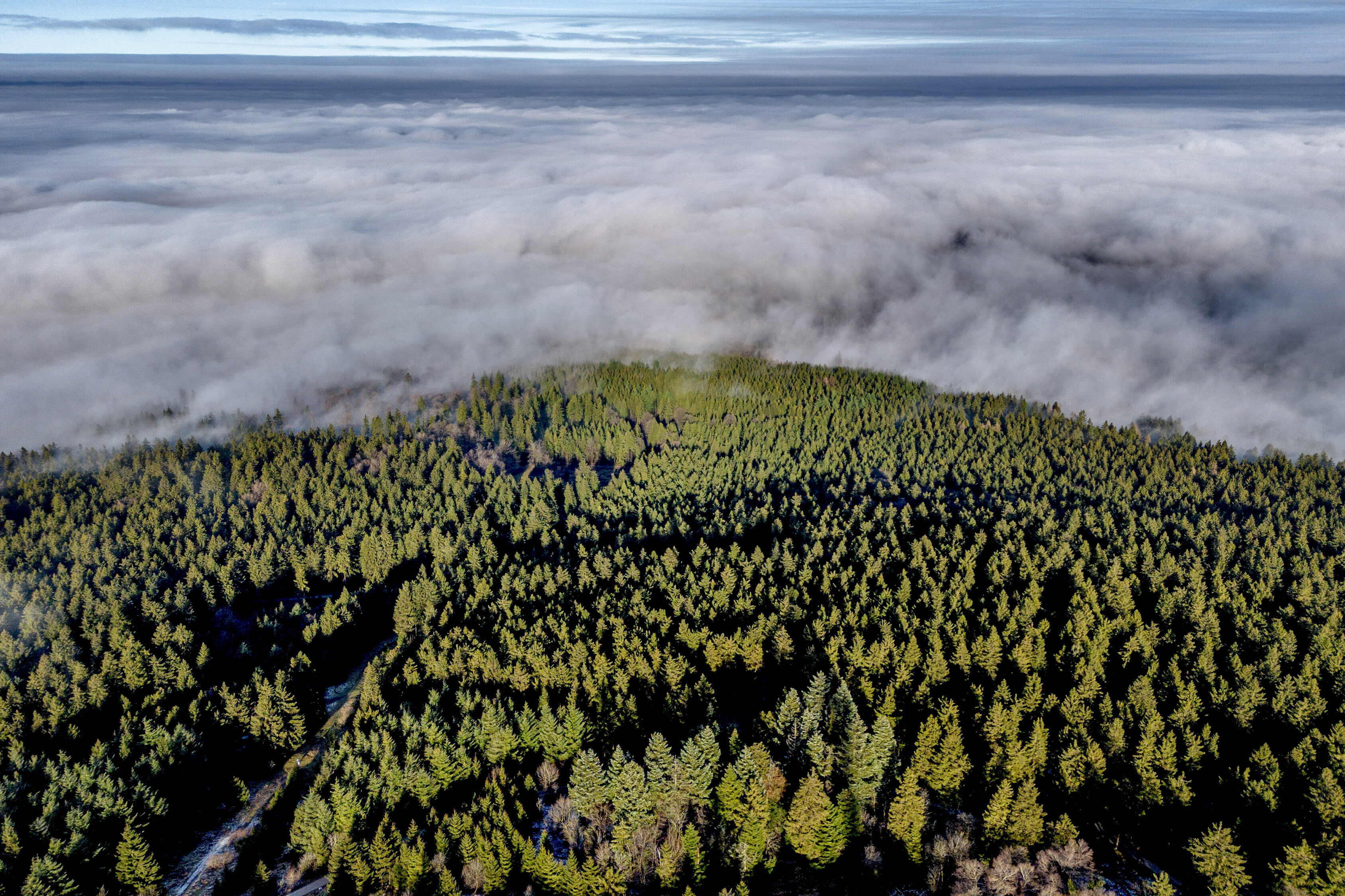 FILE - Fog lies on the forests of the Taunus region near Frankfurt, Germany, Dec. 25, 2024. (AP Photo/Michael Probst, File)