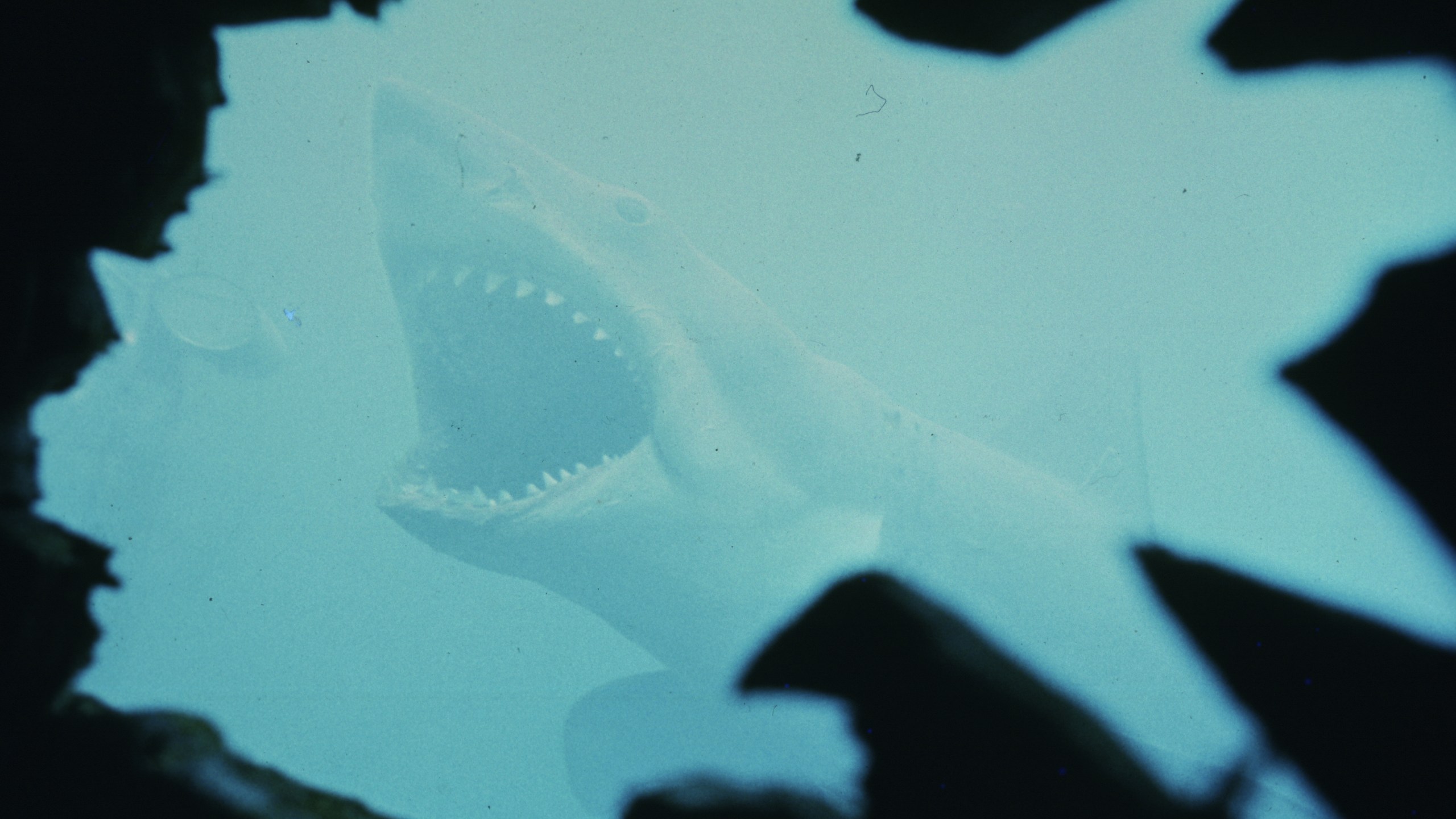 This image released by Peacock shows a scene from "Jaws." (Peacock/Universal Pictures via AP)