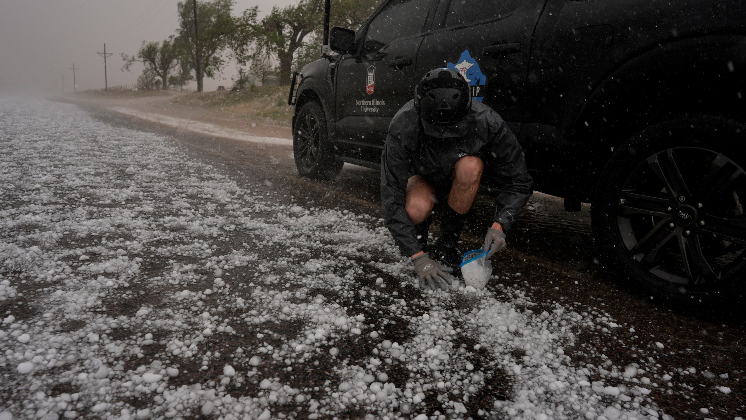 Tony Illenden crouches in a helmet and gloves outside Northern Illinois University's Husky Hail Hunter to scoop hail into a bag while in a hailstorm during a Project ICECHIP operation Friday, June 6, 2025, in Levelland, Texas. (AP Photo/Carolyn Kaster)