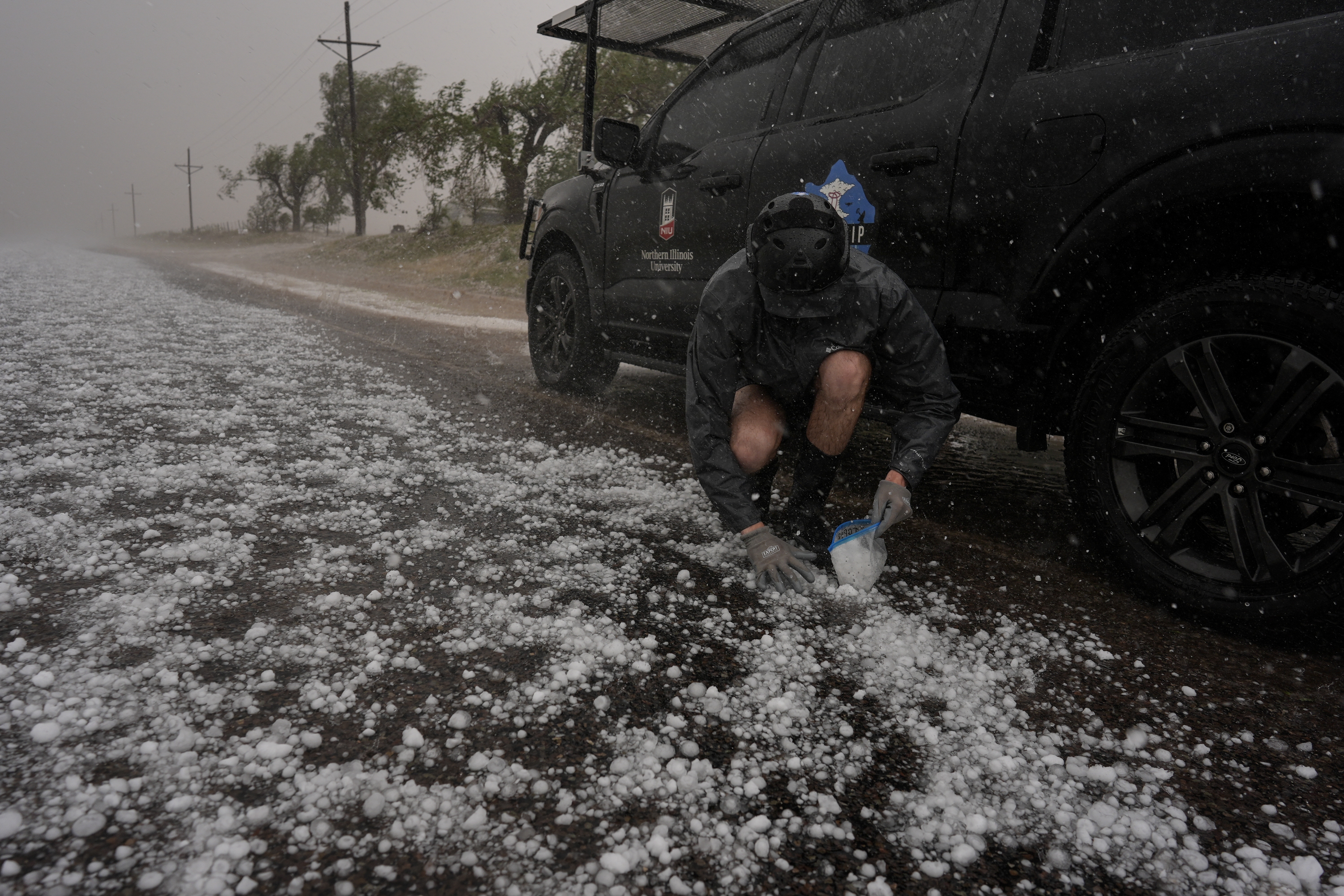 Tony Illenden crouches in a helmet and gloves outside Northern Illinois University's Husky Hail Hunter to scoop hail into a bag while in a hailstorm during a Project ICECHIP operation Friday, June 6, 2025, in Levelland, Texas. (AP Photo/Carolyn Kaster)