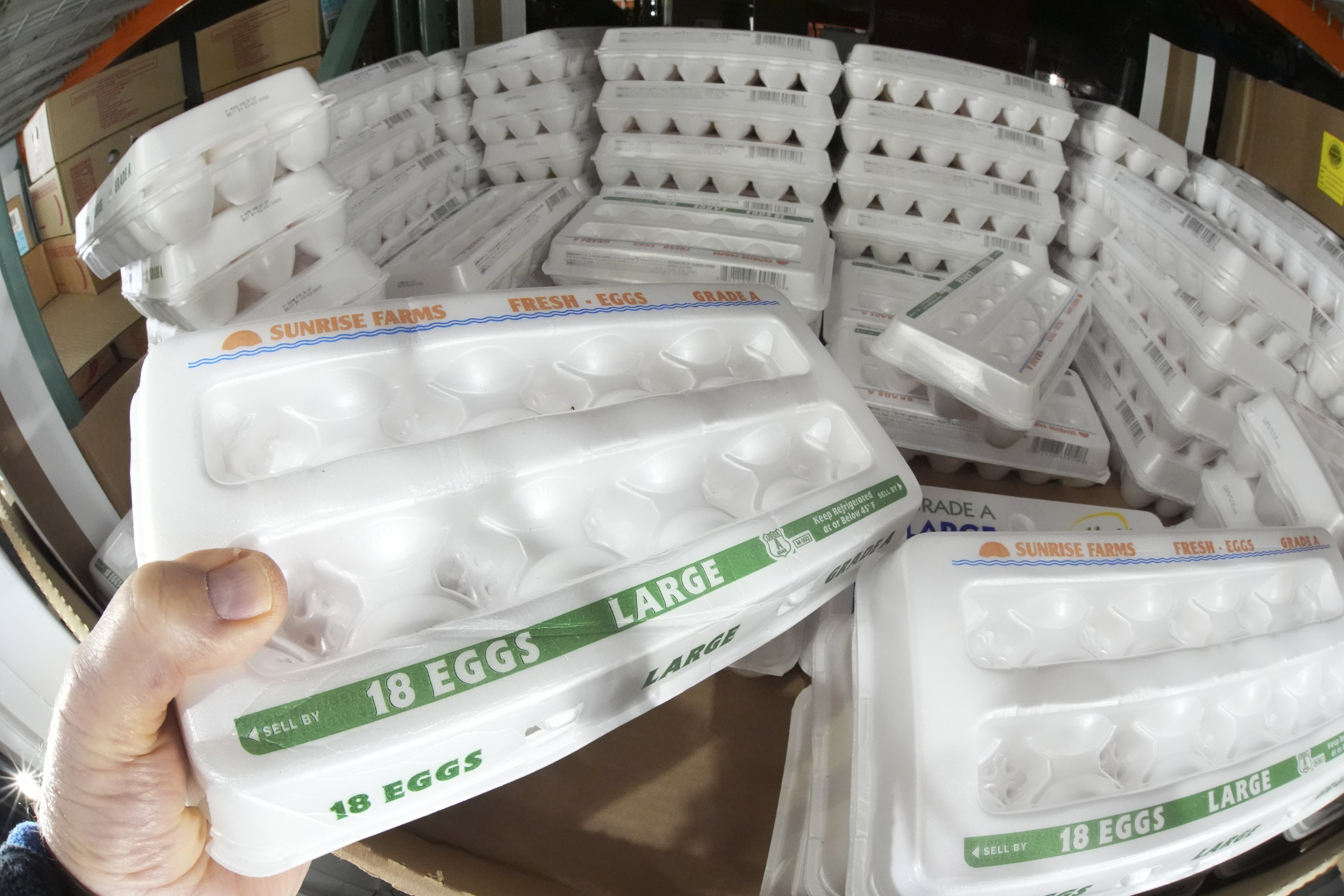 FILE - A shopper selects a carton of 18 Large Grade A eggs from a cooler in a Costco Warehouse in Cranberry, Pa., Tuesday, Jan. 28, 2025. (AP Photo/Gene J. Puskar, File)