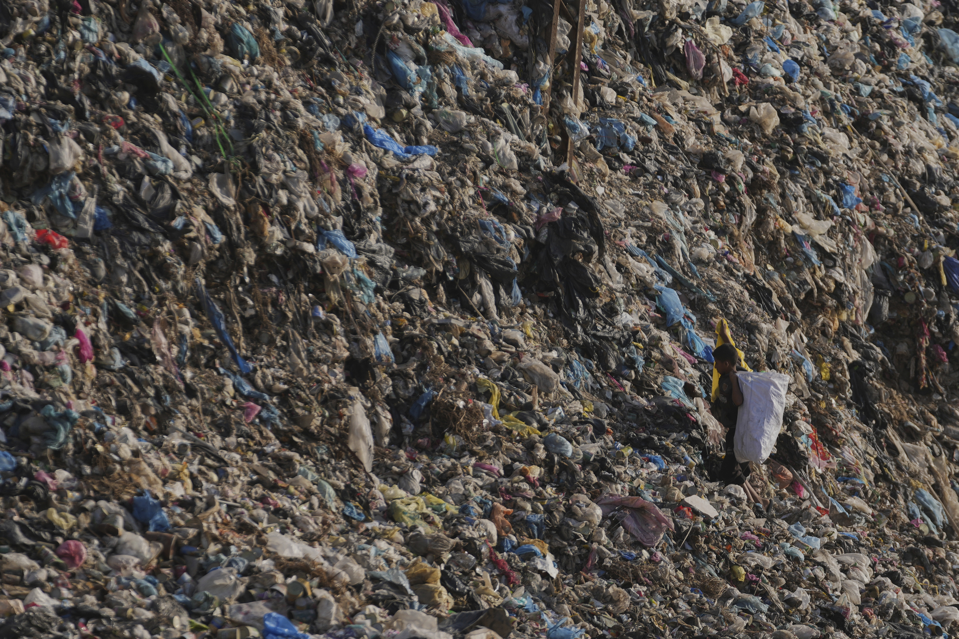 A Palestinian child search through a landfill for firewood, plastic, and canned goods in Al-Zawaideh, Gaza Strip, on Tuesday, June 24, 2025. (AP Photo/Abdel Kareem Hana)