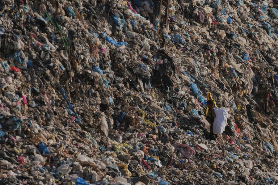 A Palestinian child search through a landfill for firewood, plastic, and canned goods in Al-Zawaideh, Gaza Strip, on Tuesday, June 24, 2025. (AP Photo/Abdel Kareem Hana)